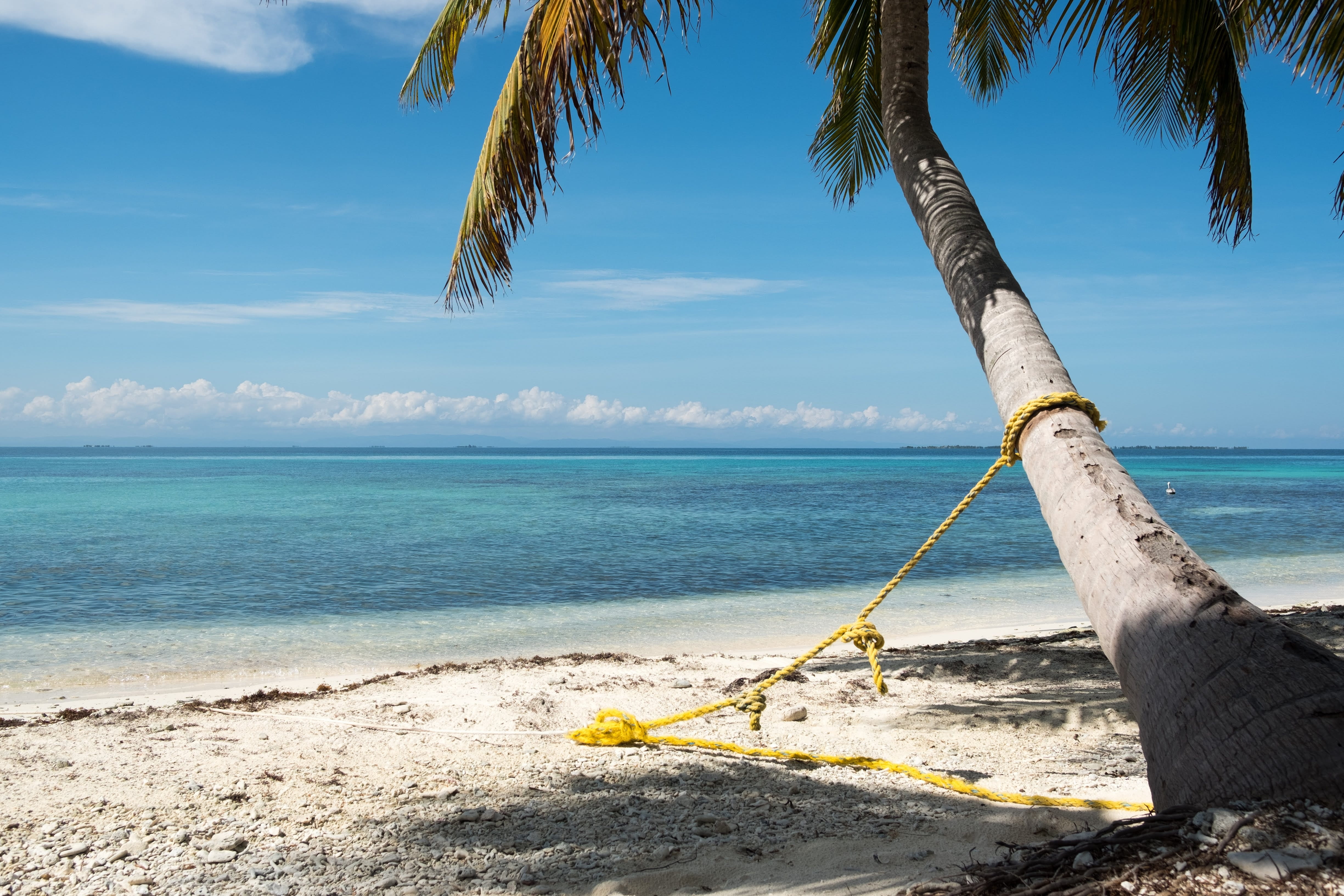 Free download | HD wallpaper: laughing bird, caye, mooring, belize, sea ...