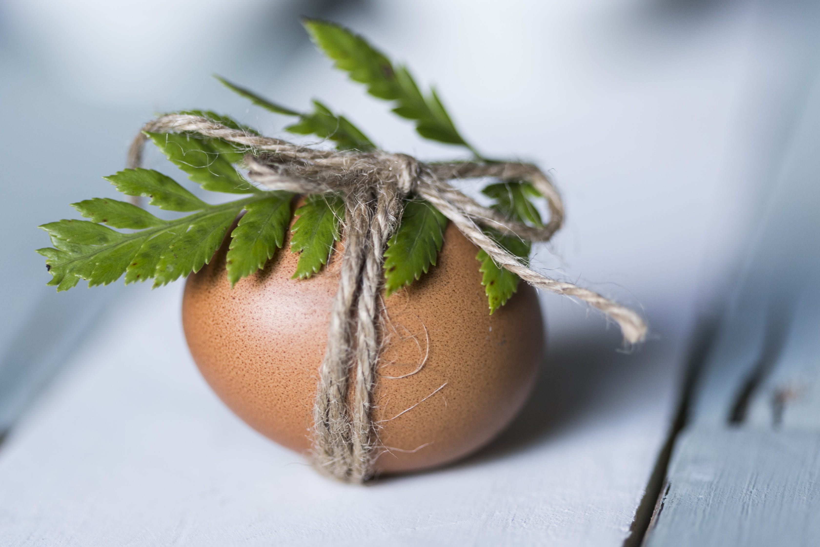 Brown Egg With Leaf, easter egg, macro, food and drink, close-up