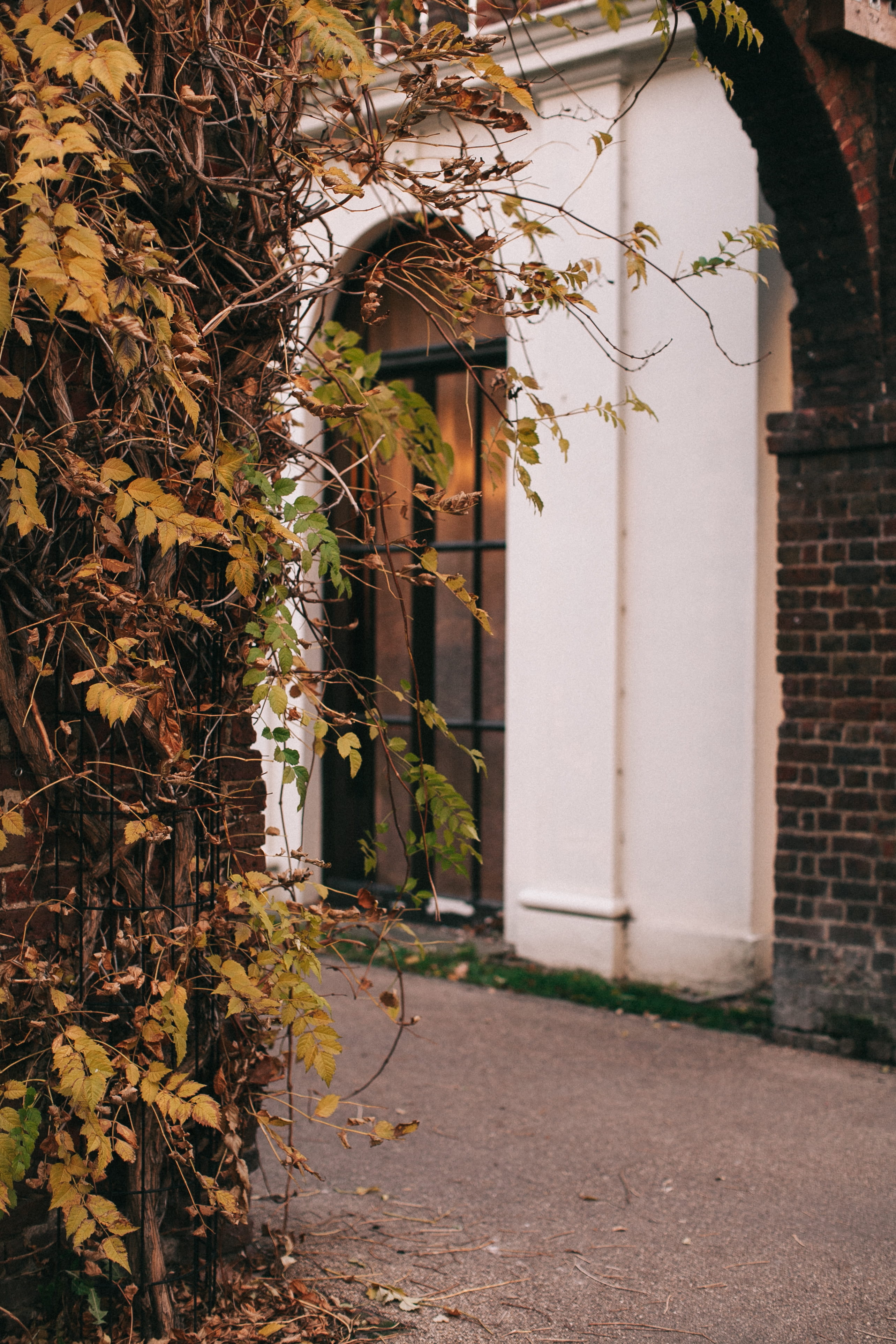 Glass Windowpane, arch, architecture, bricks, daylight, exterior