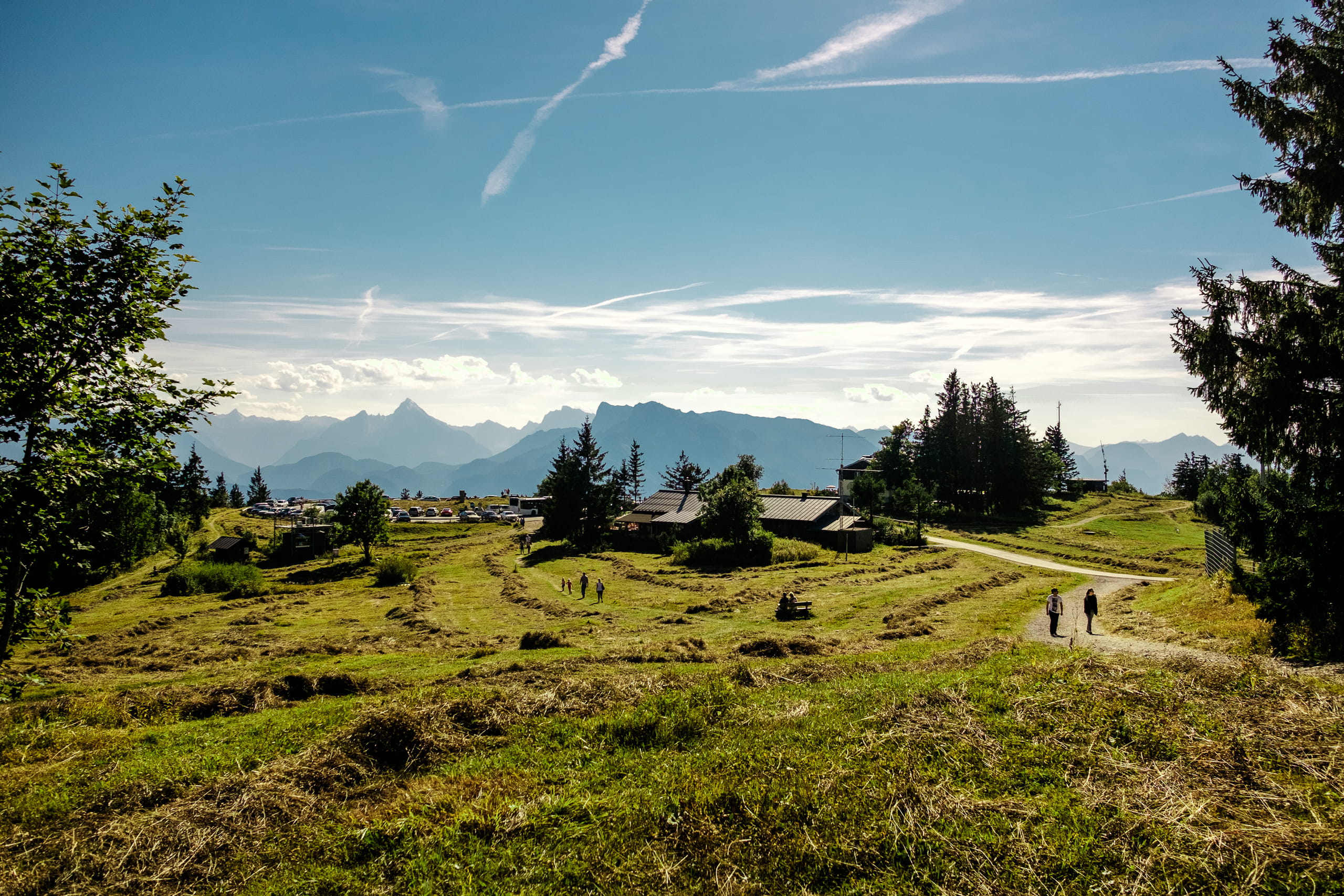 salzburg, austria, gaisberg, mountain, nature, hiking, plant