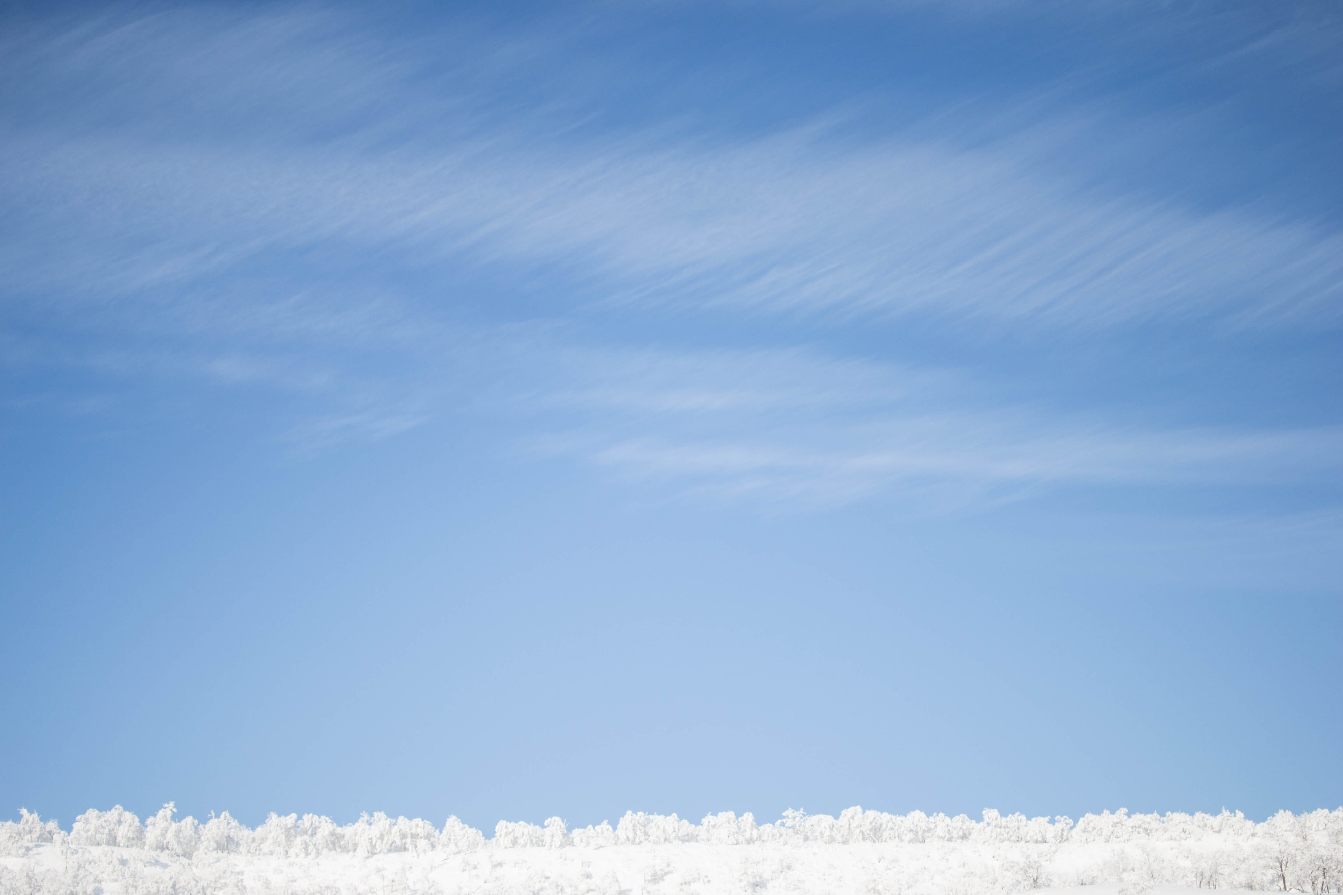 sky, tree, snow, cloud - sky, blue, cold temperature, winter