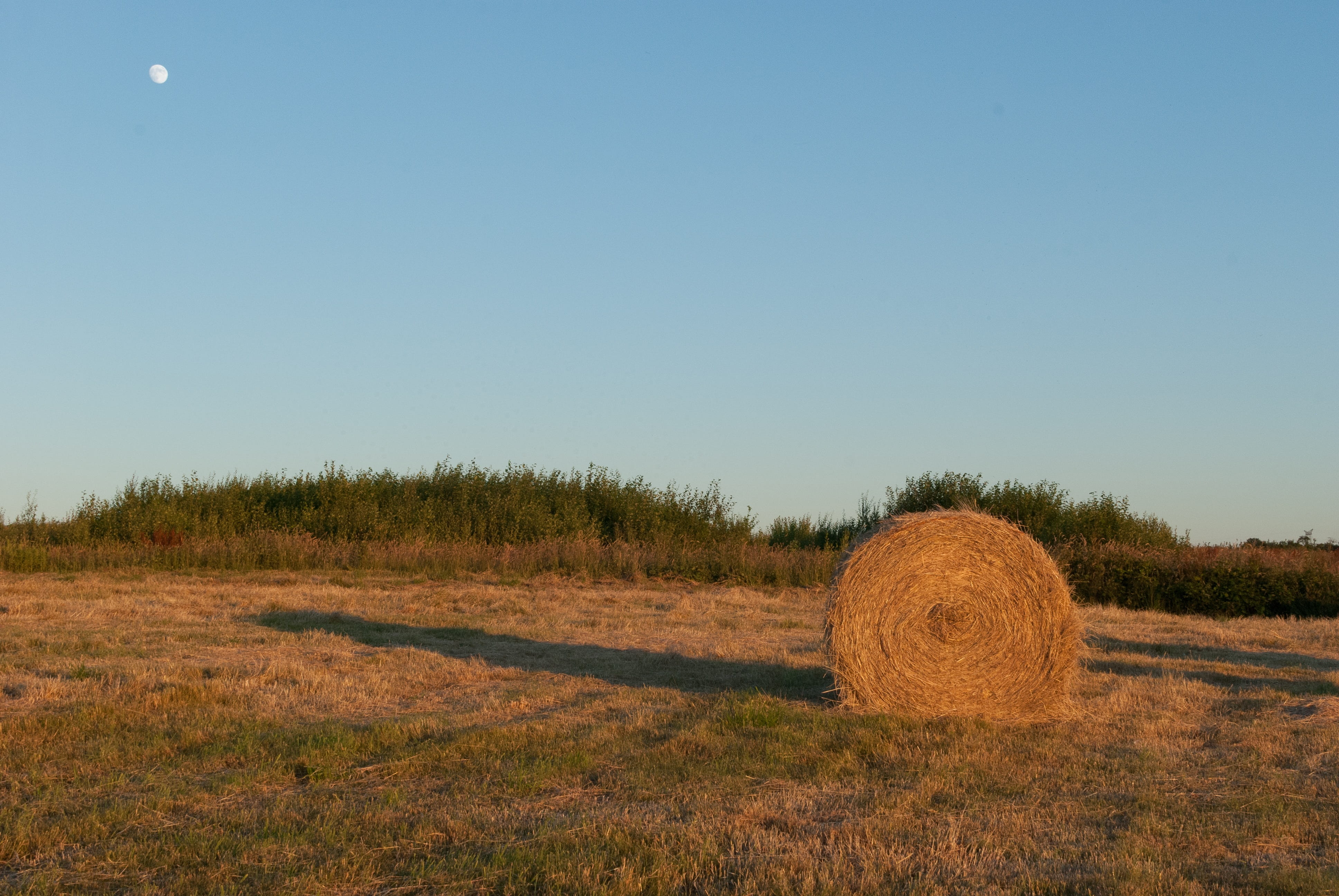 boot, fields, sunset, nature and wildlife, twilight, straw