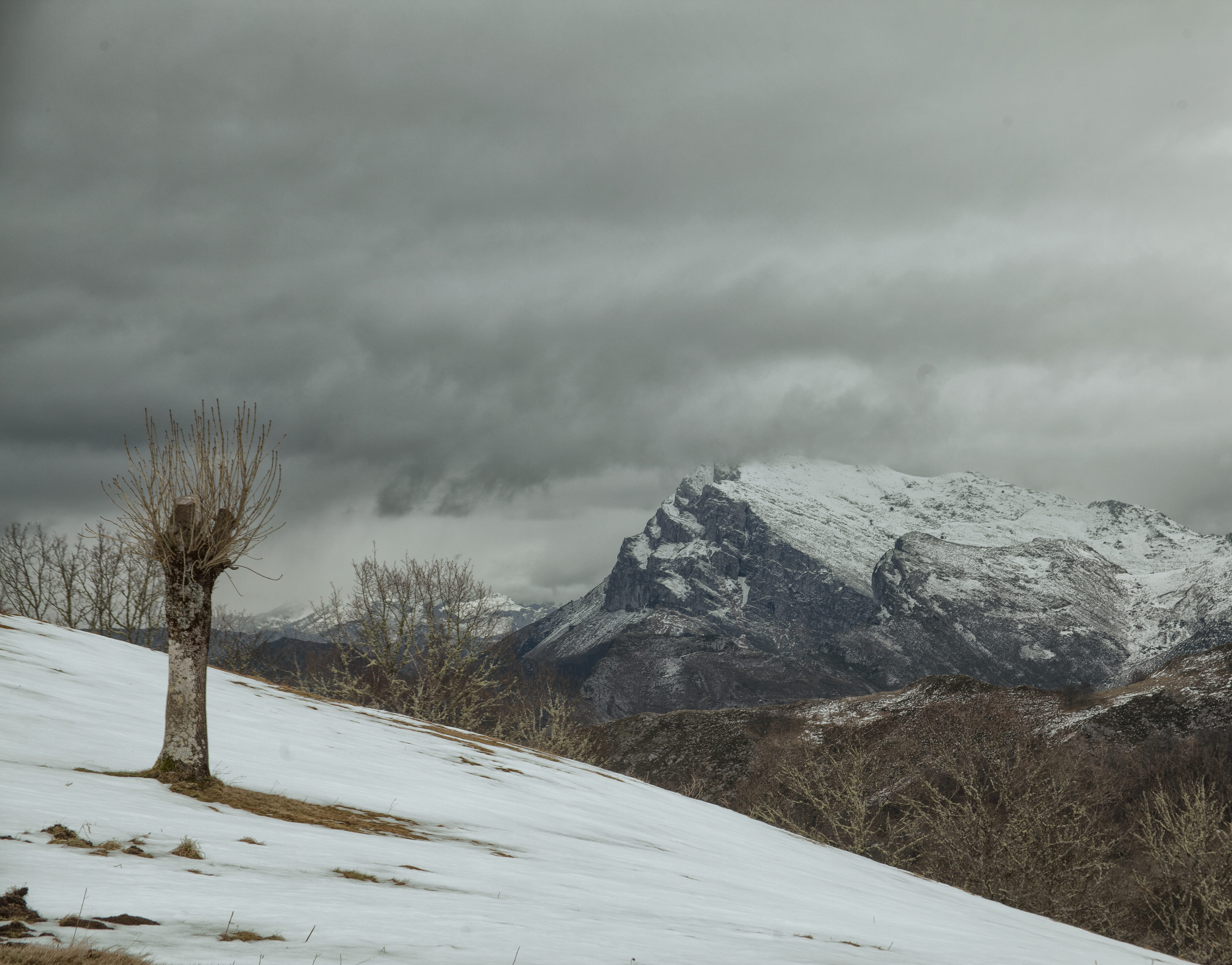 spain, ponga, trees, clouds, mountains, cold temperature, winter