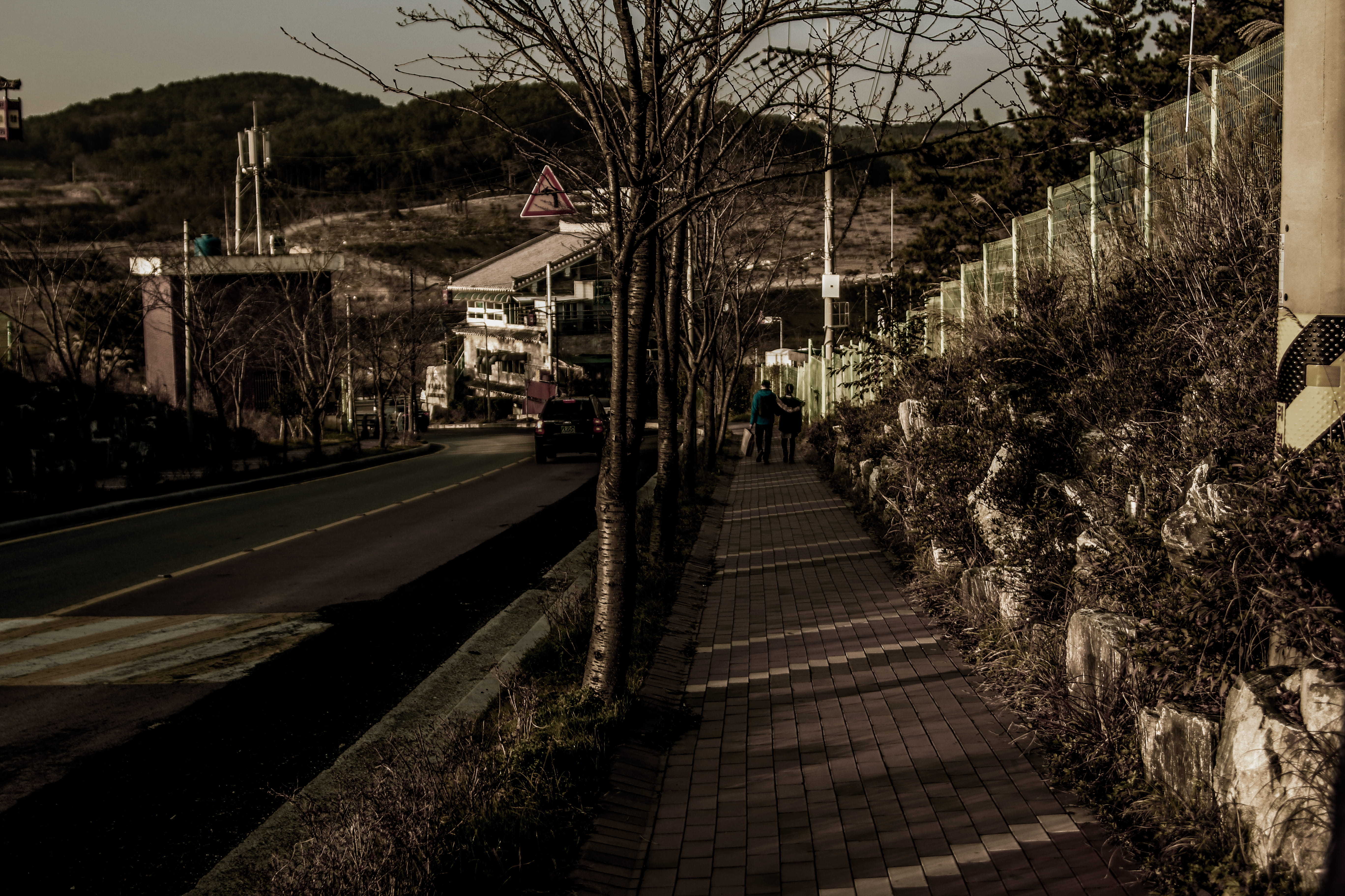 taiwan, tree, transportation, plant, architecture, built structure