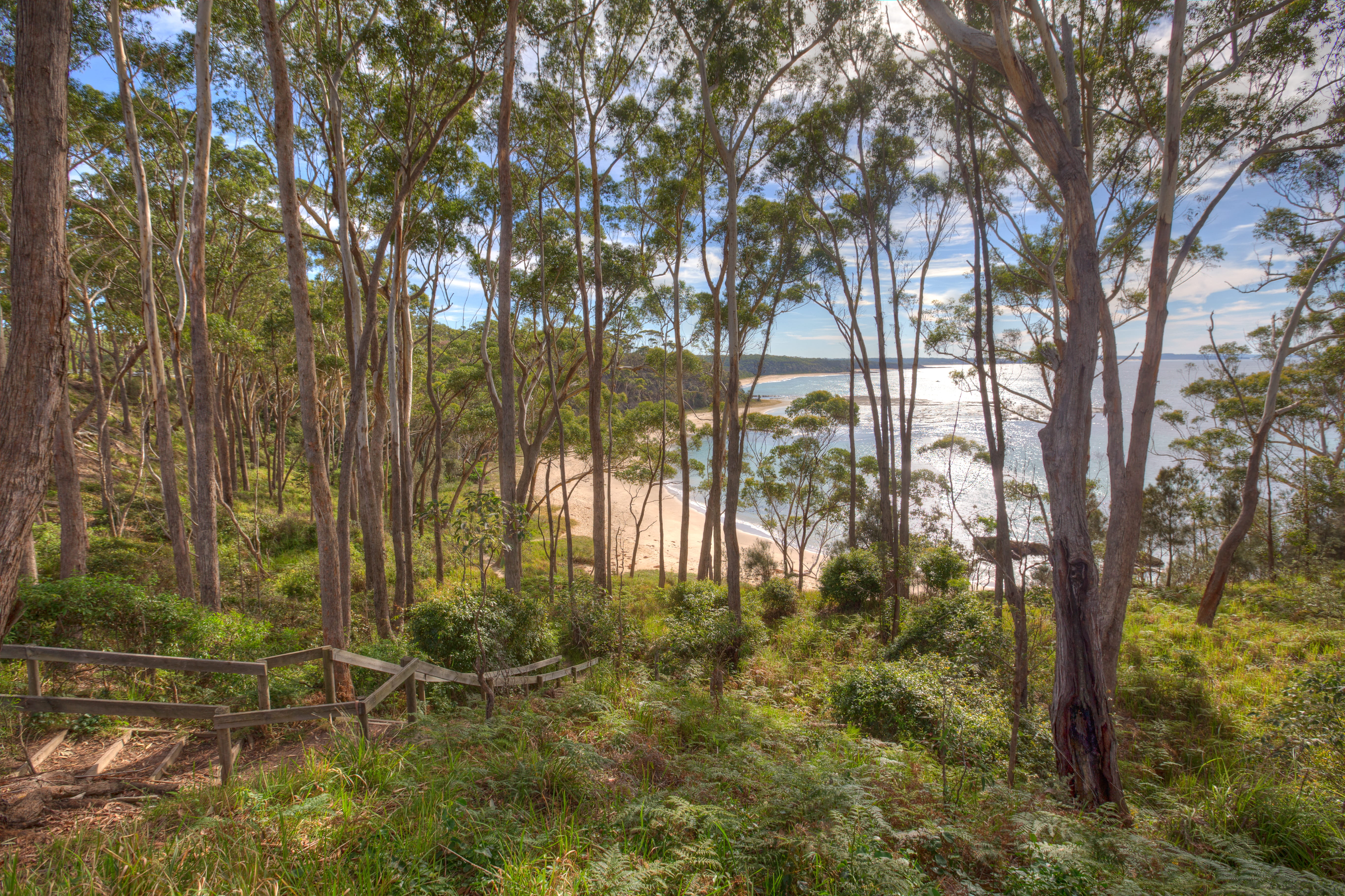 australia, bendalong, trees, ocean, coast, forest, beach, shore