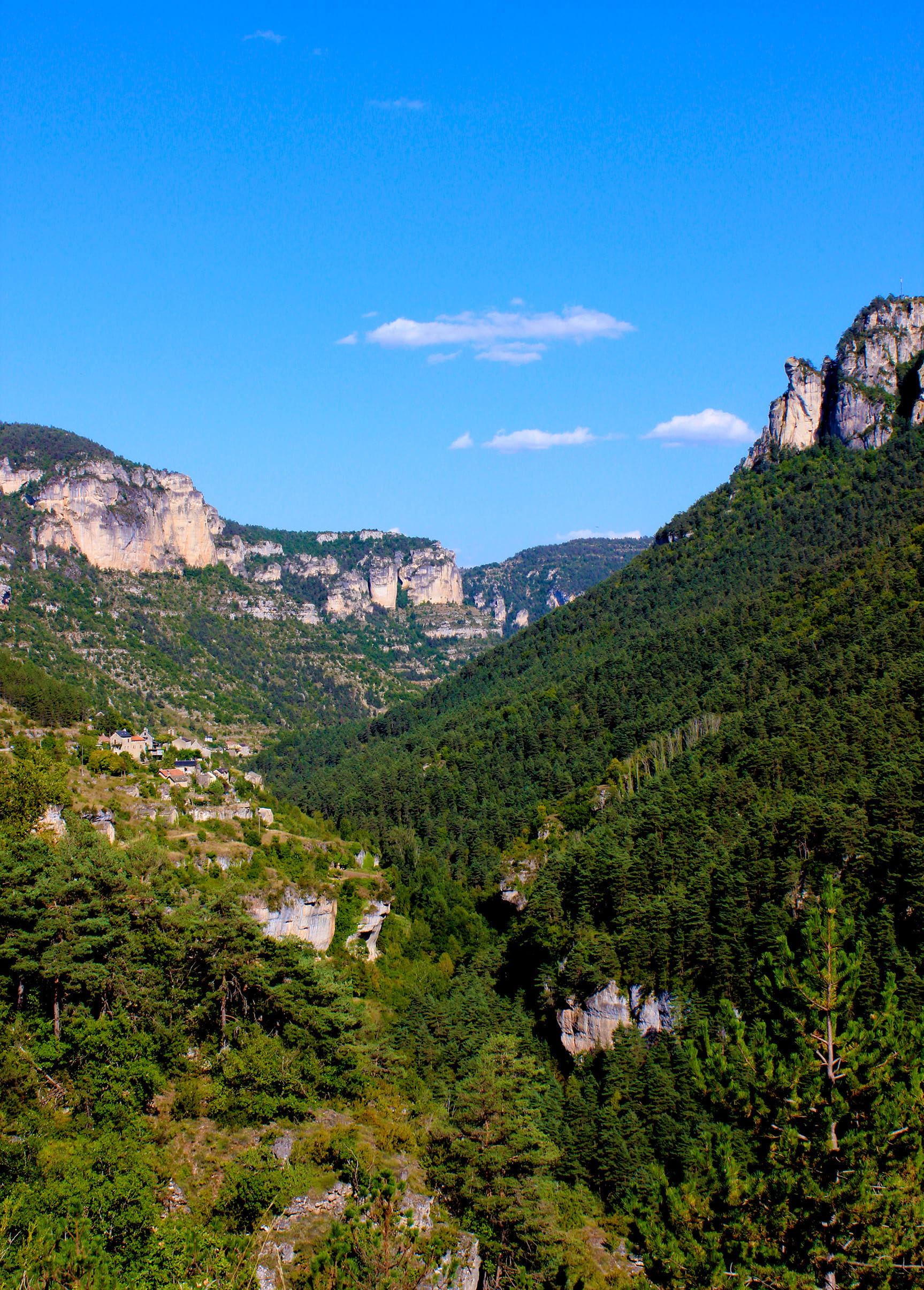 Typical Landscape in Gorges du Tarn - One of the Largest Canyons in Europe - Southern France
