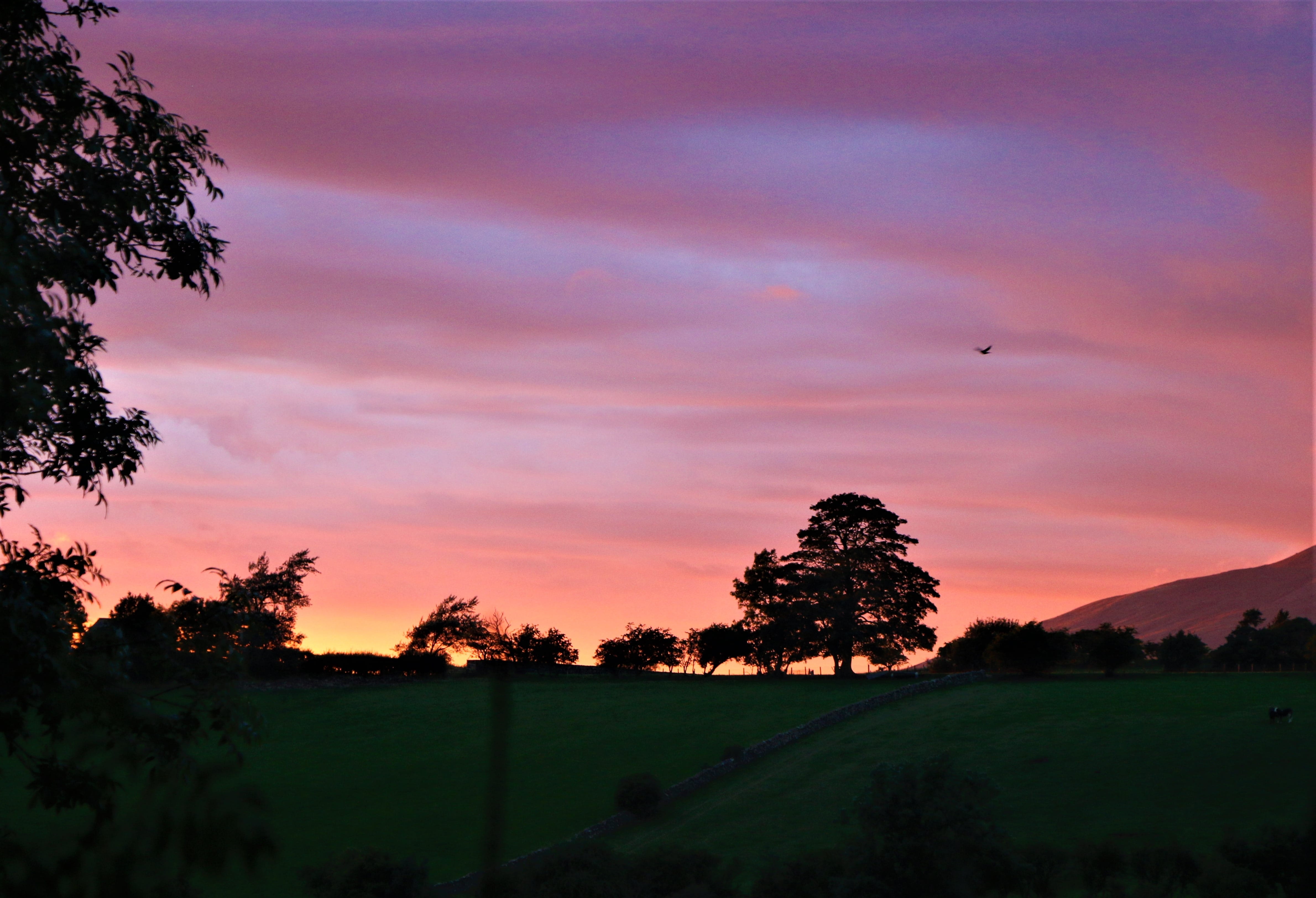 sunset, evening, dusk, sky, nature, landscape, clouds, lighting