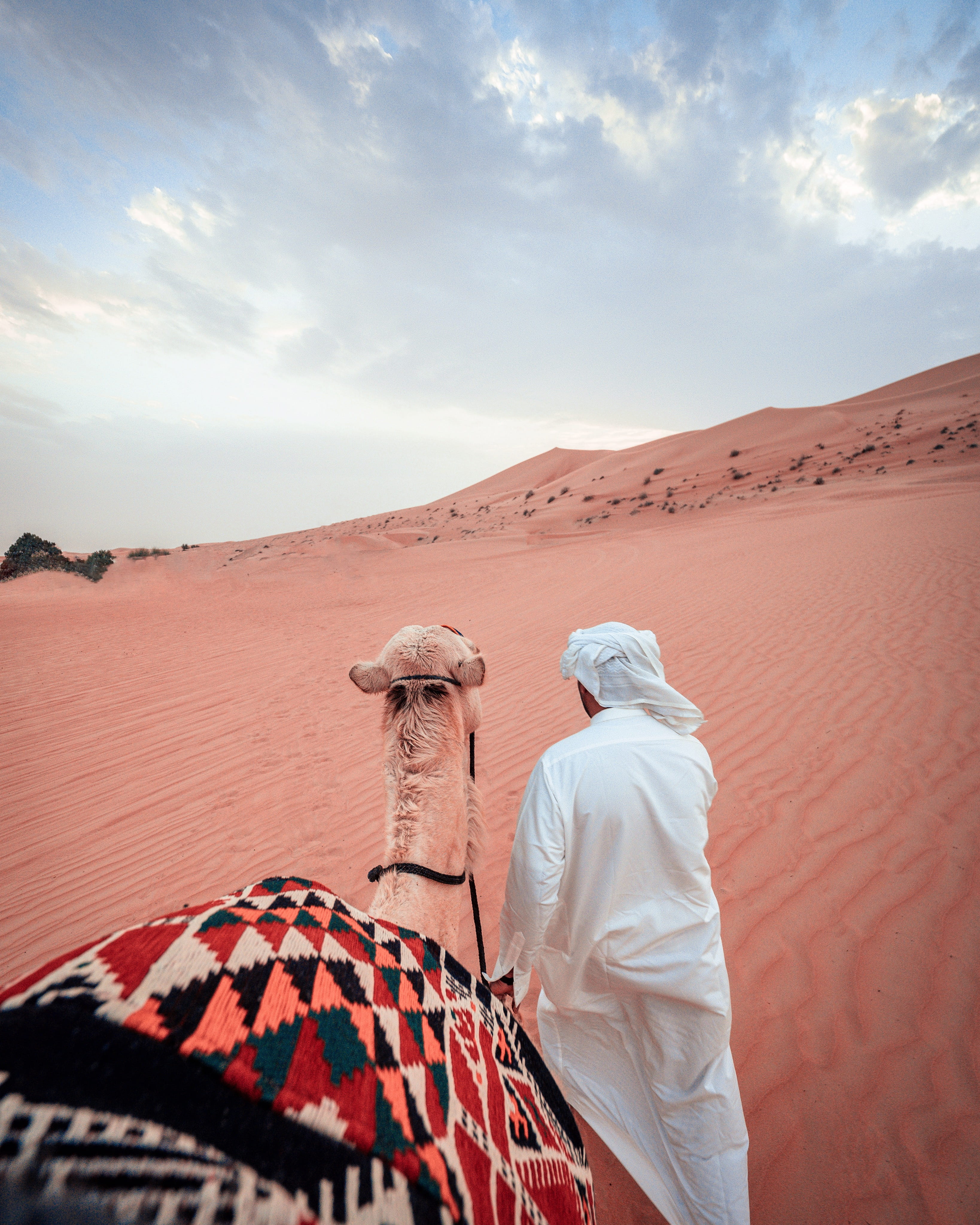 man pulling camel, sky, cloud - sky, desert, real people, scenics - nature