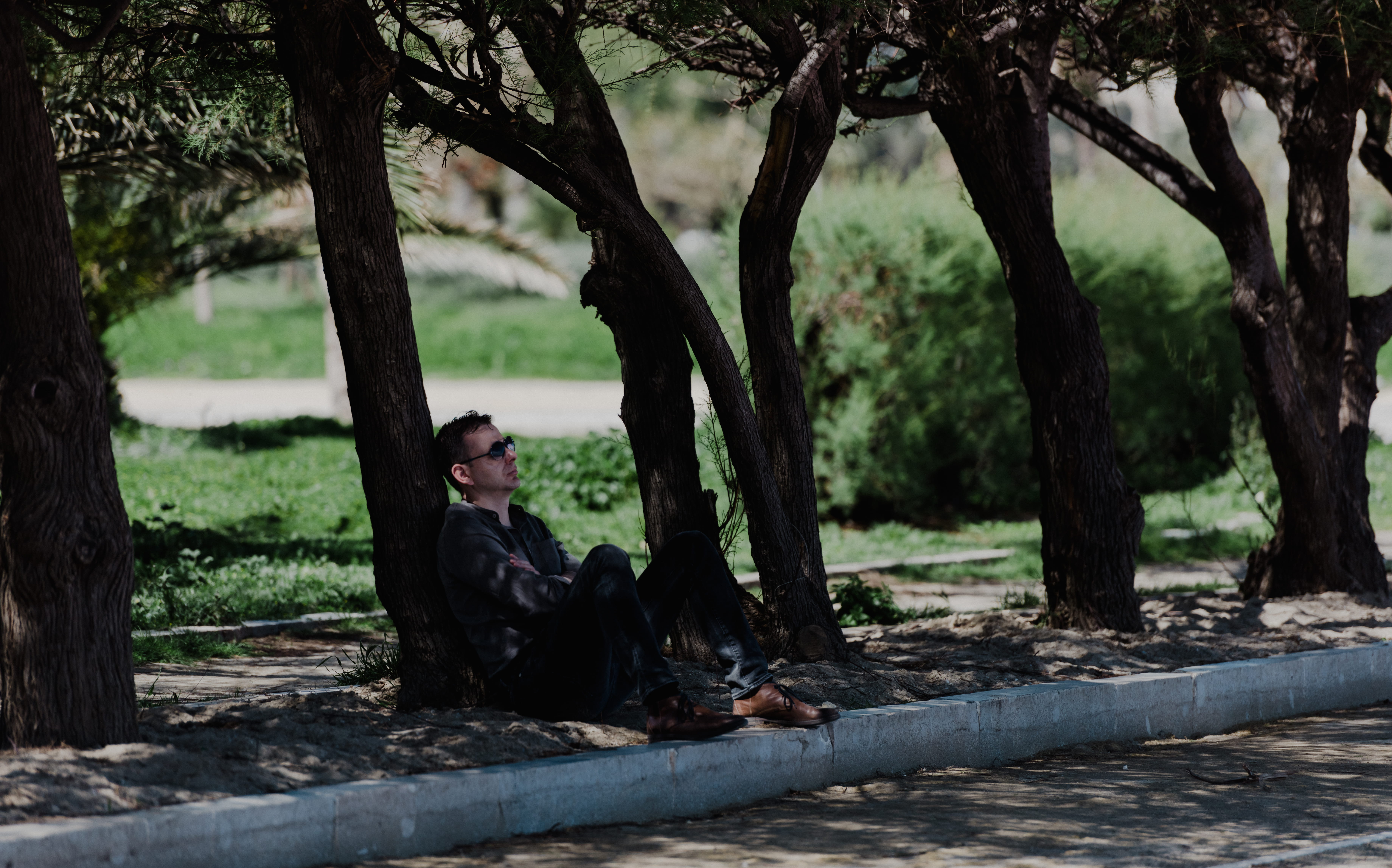 man sitting under tree, tree trunk, plant, human, person, accessory