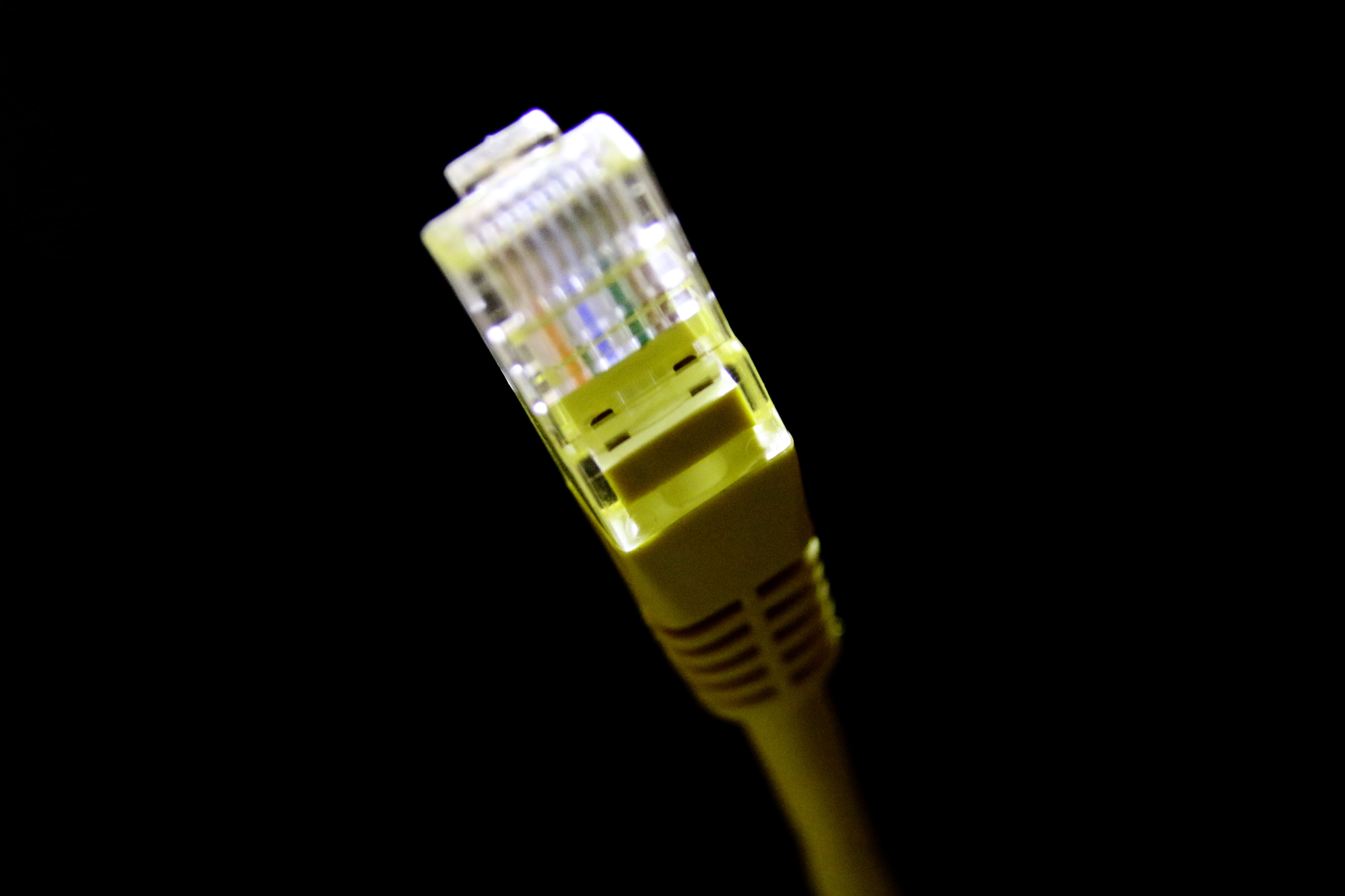 cable, network, pc, tech, computer cable, internet, network connection plug