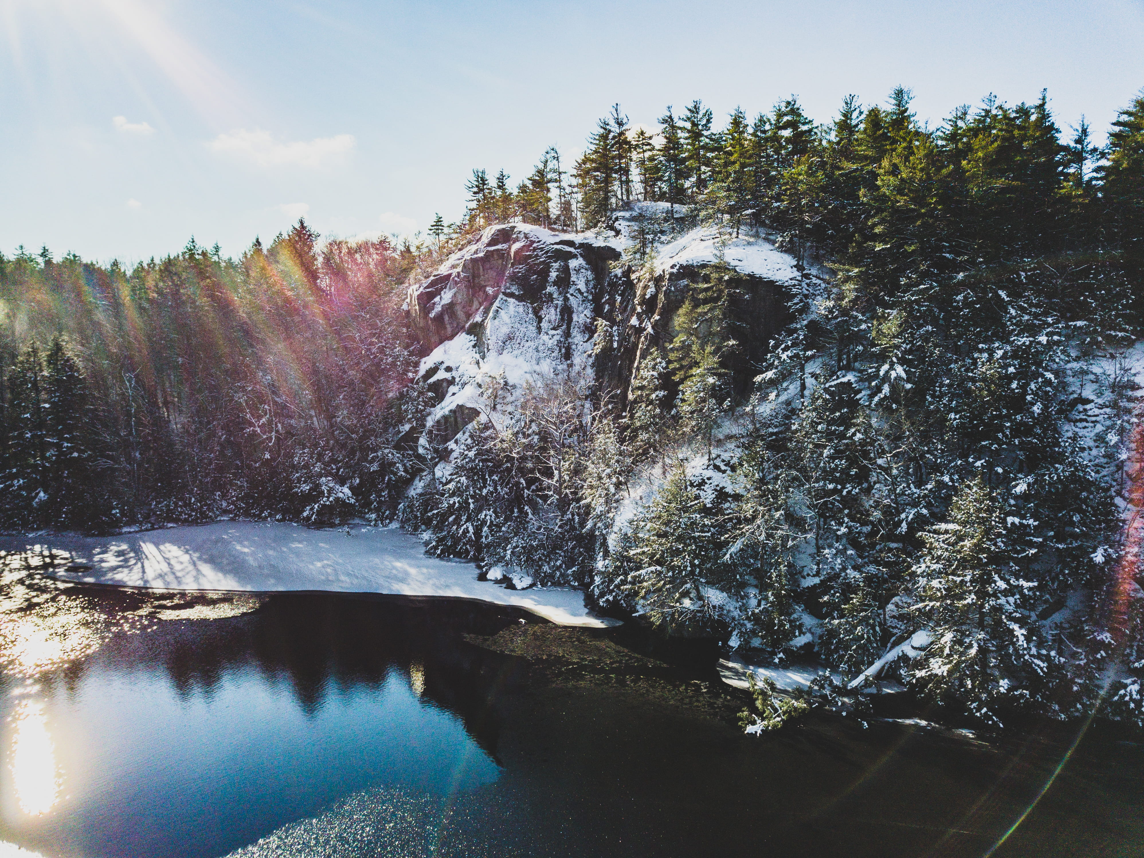 Trees Covered With Snow, cold, daylight, environment, forest