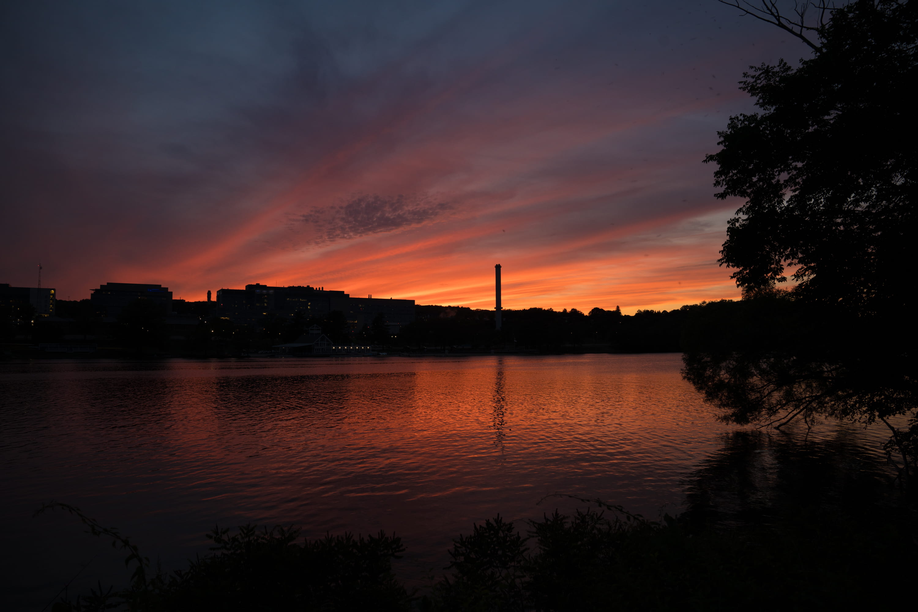 sunset, sky, water, reflection, silhouette, tree, cloud - sky