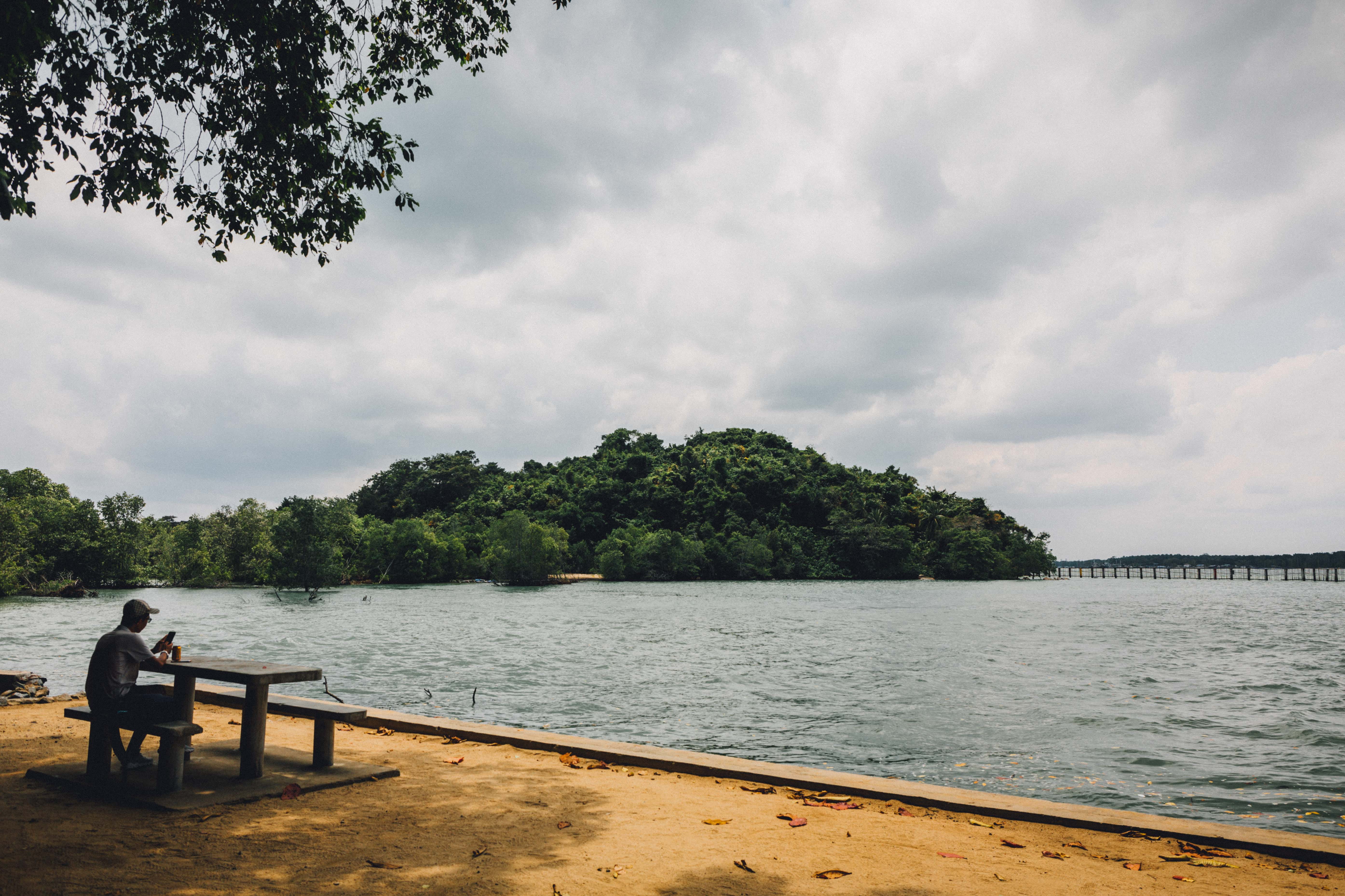 singapore, pulau ubin, alone, water, beach, islandlife, trees