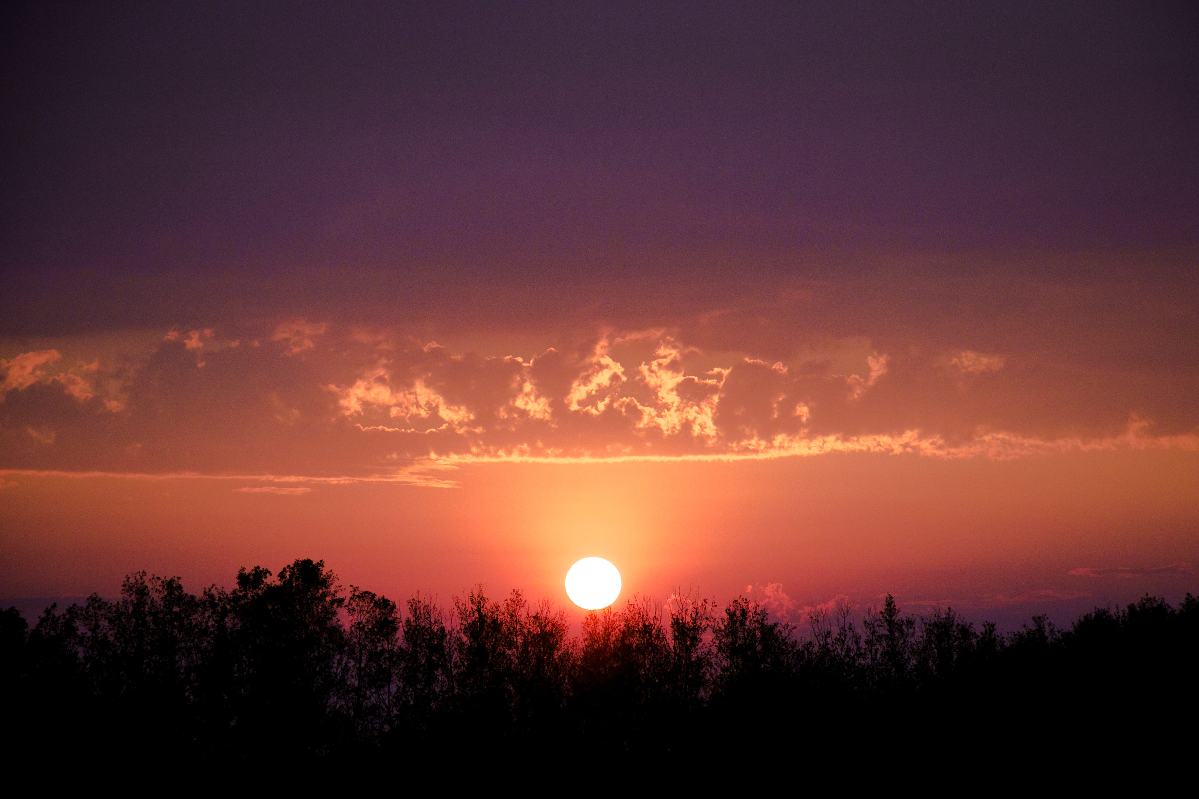 canada, osler, clouds, trees, sunset, gradient, summer, sky