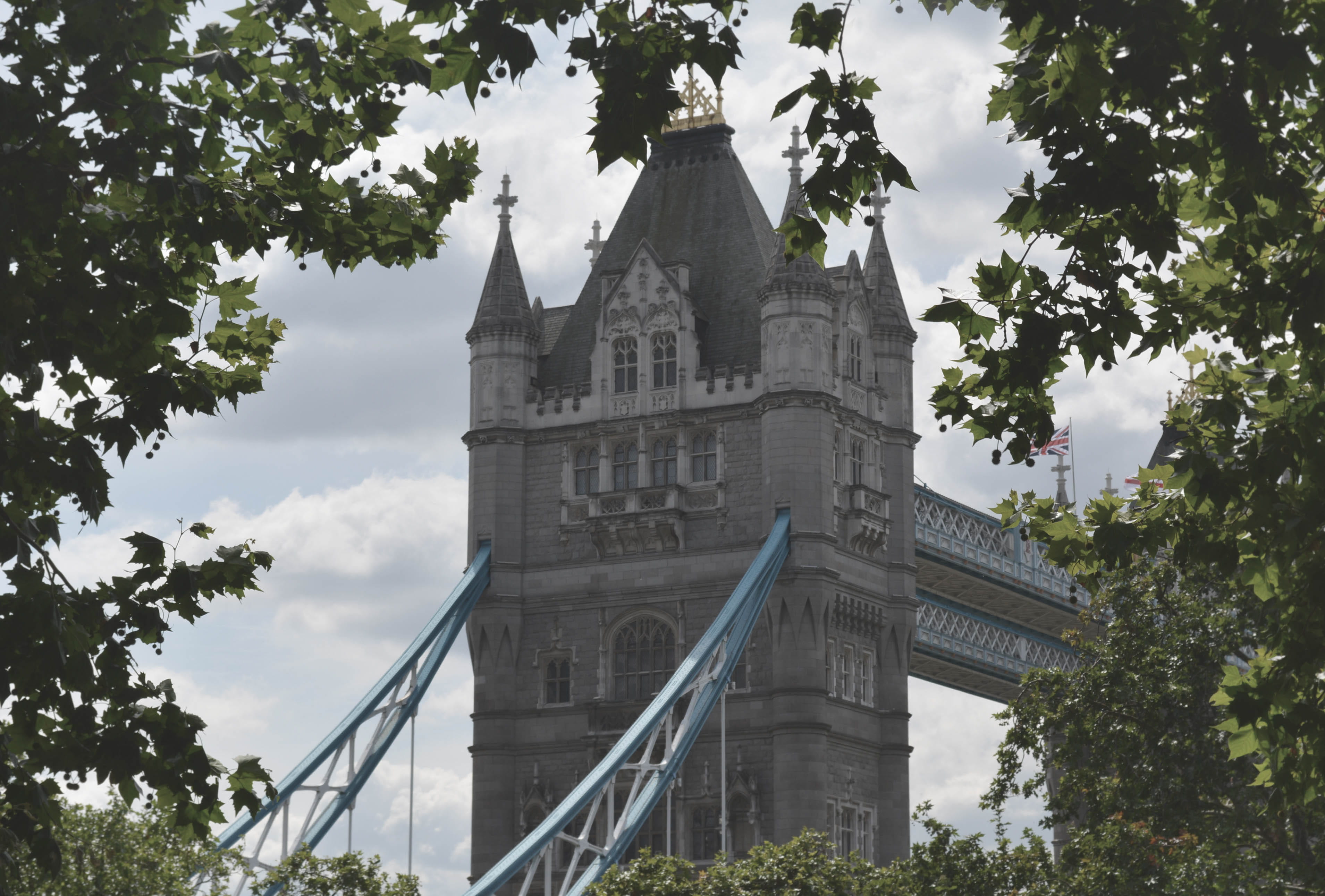 building, tower bridge, architecture, plant, tree, built structure