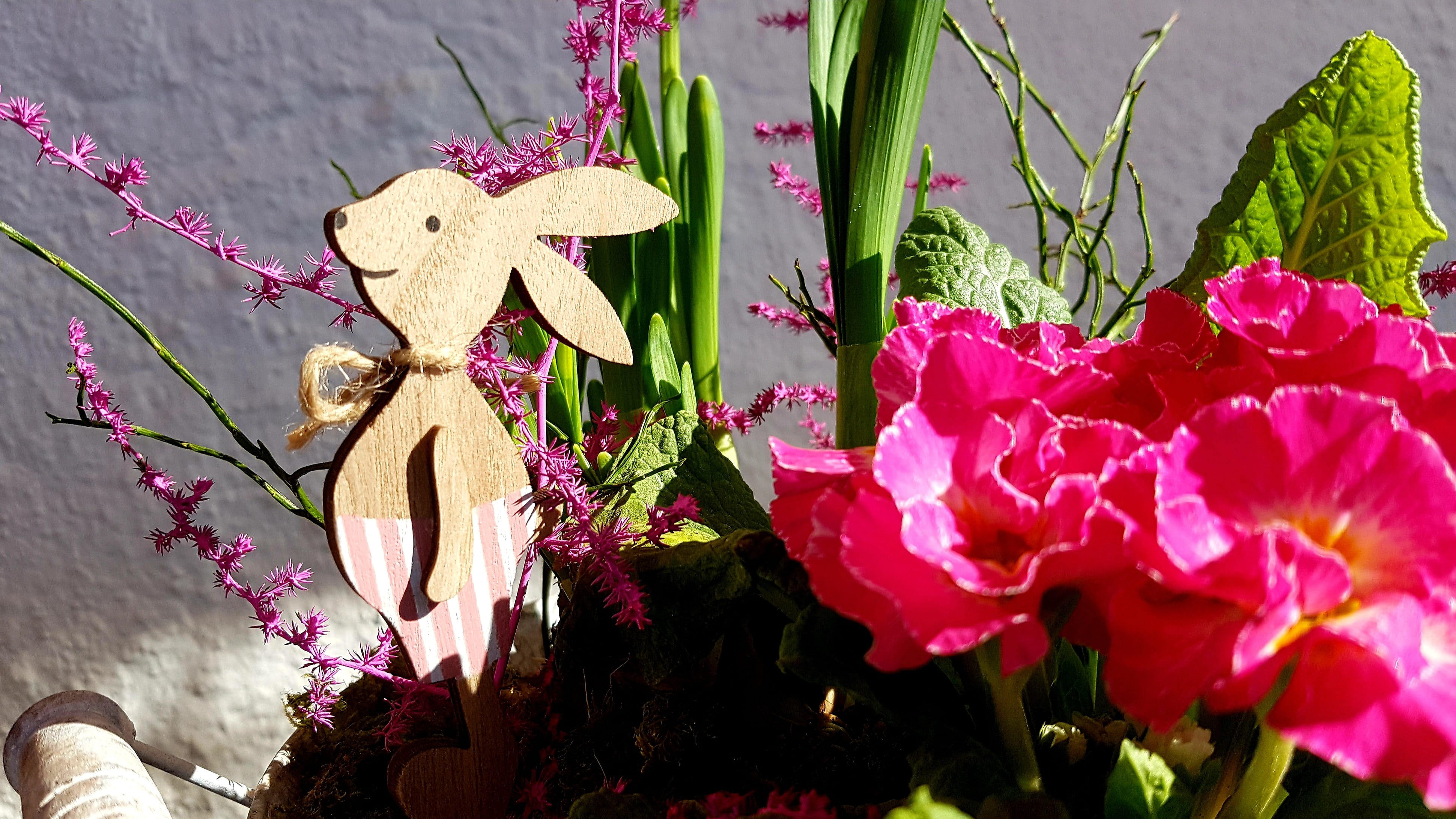 easter, spring, easter bunny, wood, primrose, deco, easter decorations