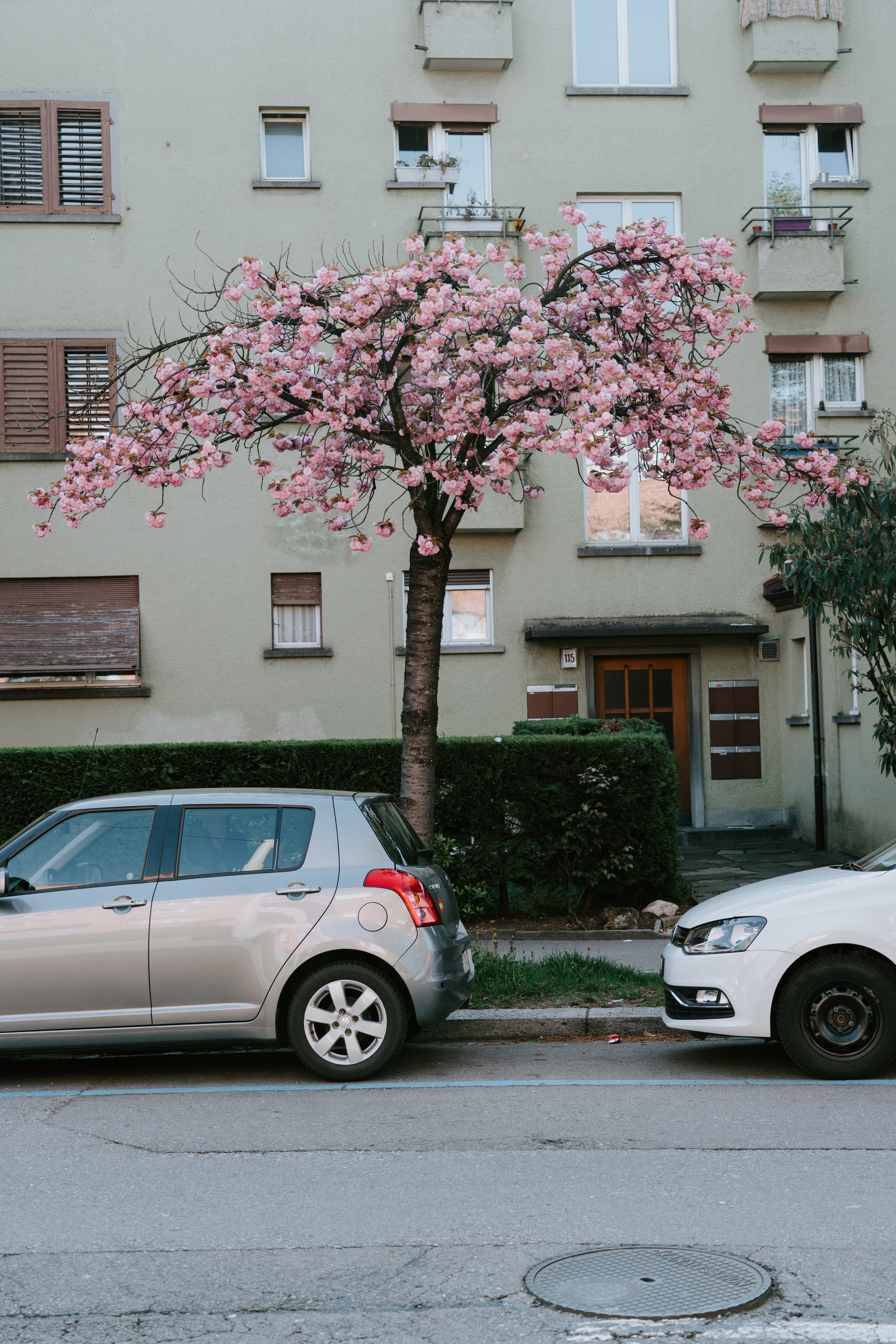silver car parked under cherry blossoms tree, building exterior