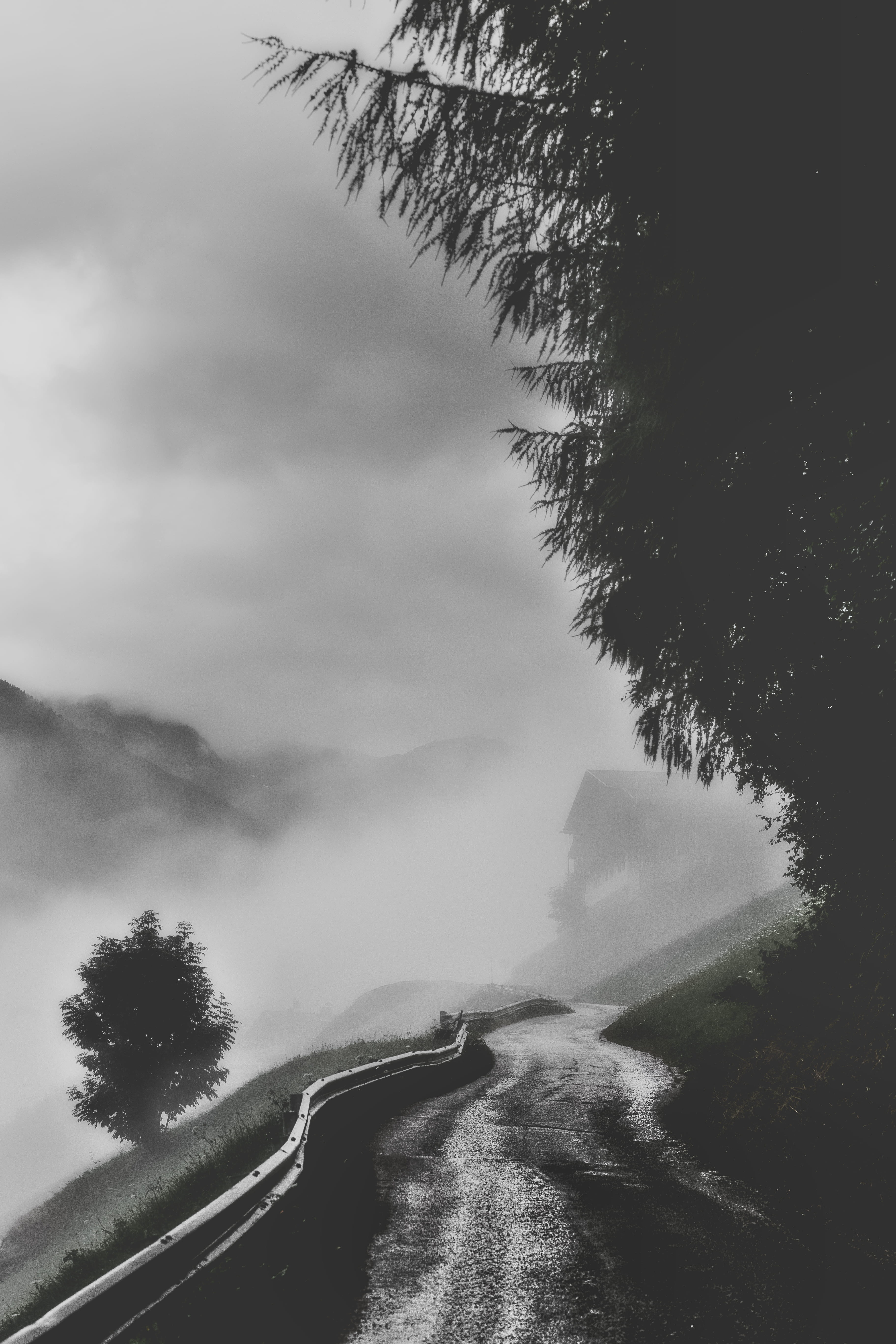 grayscale photography of road in forest, fog, mist, rain, journey