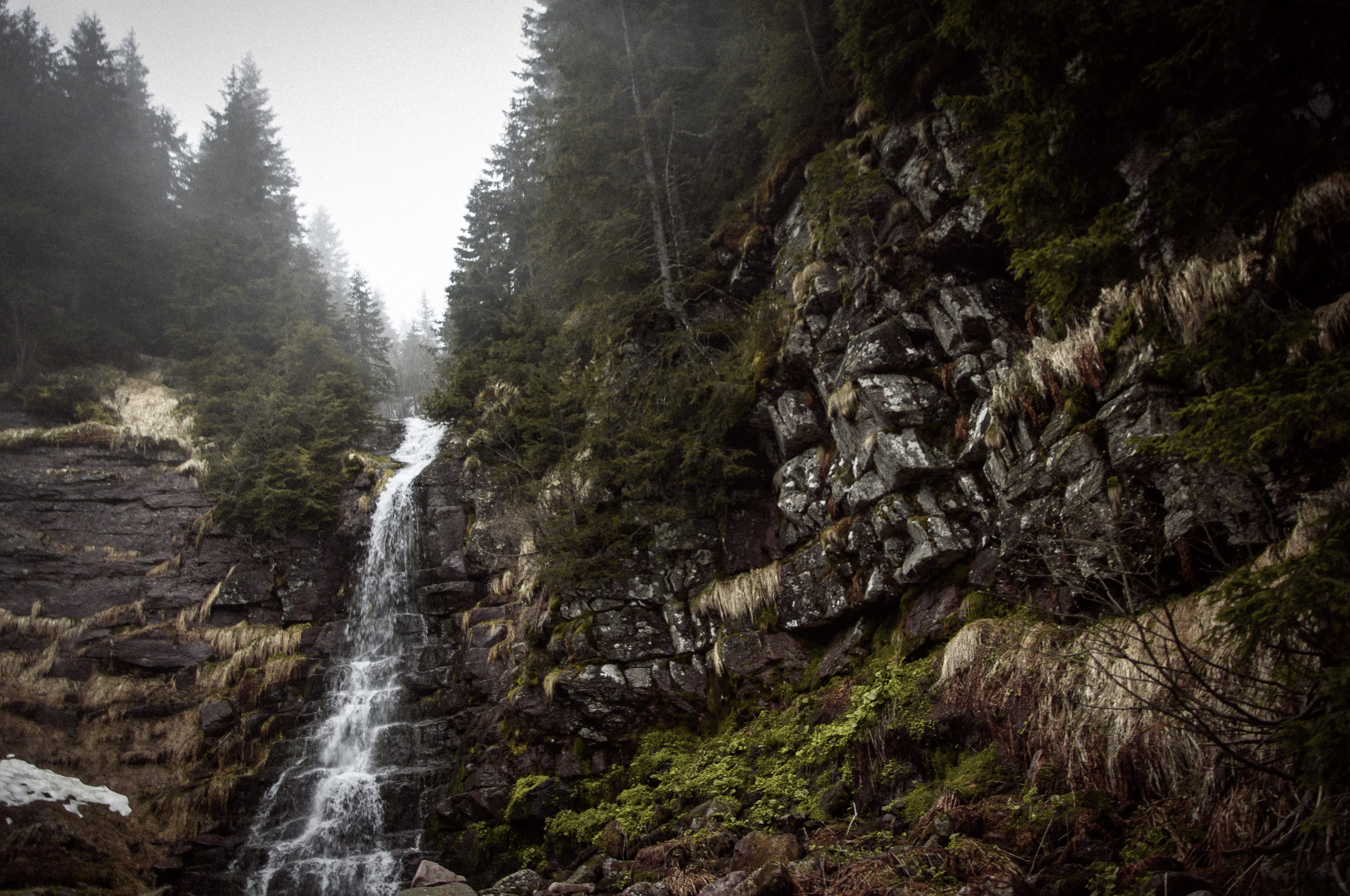 waterfall, evergreen trees, forest, stream, rock, mountain