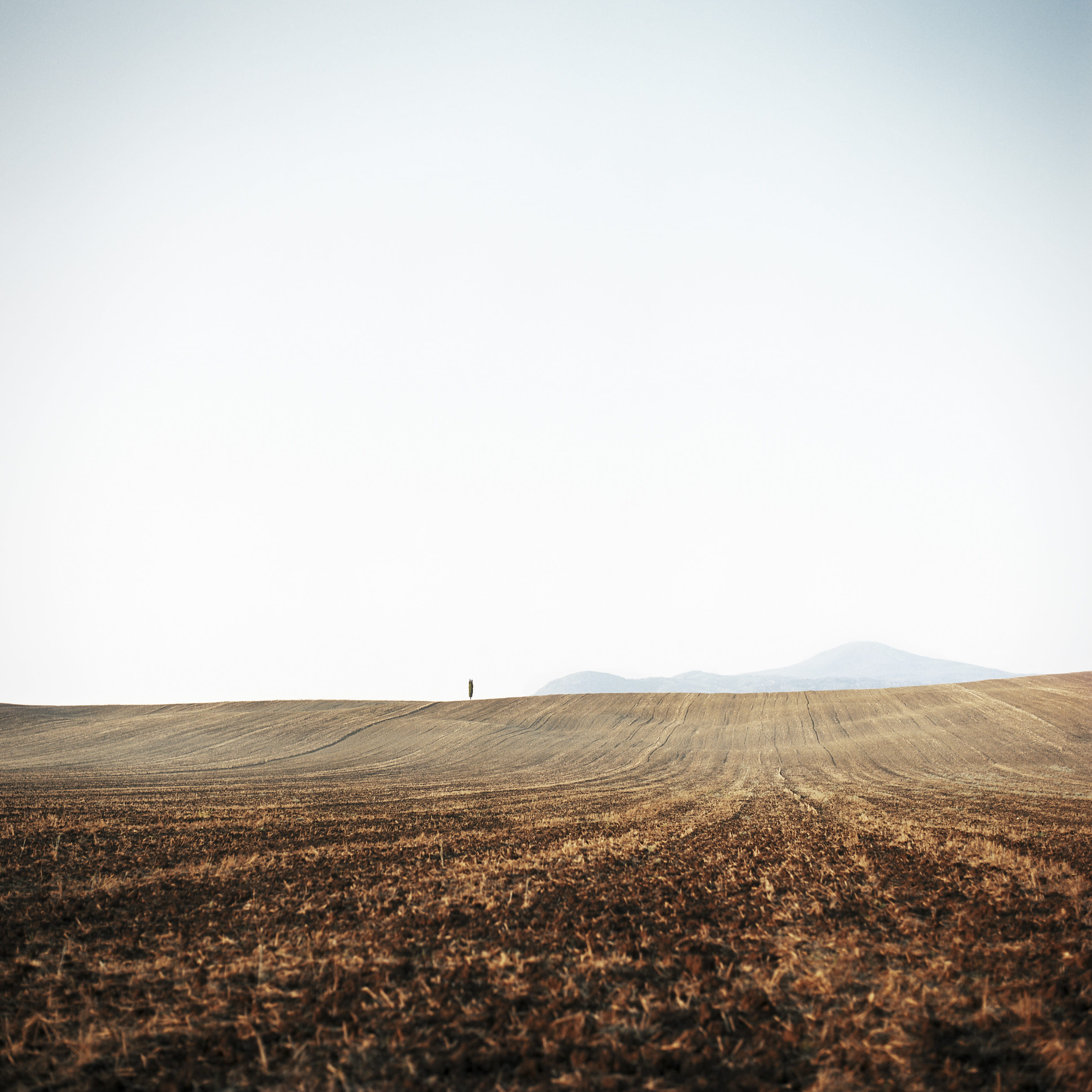 empty field, landscape, sky, copy space, environment, tranquil scene