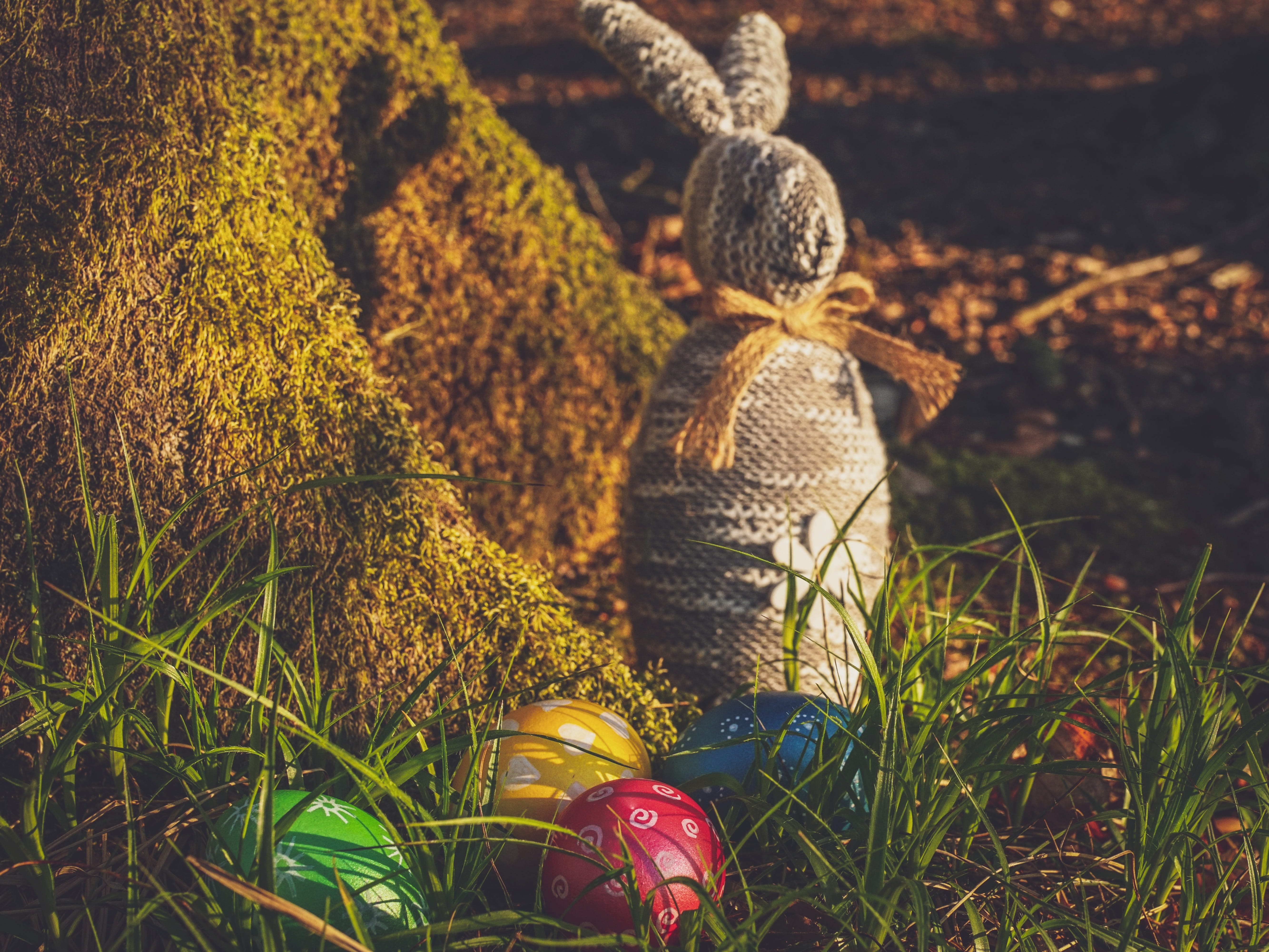 easter, egg, hare, easter bunny, decoration, easter eggs, colored