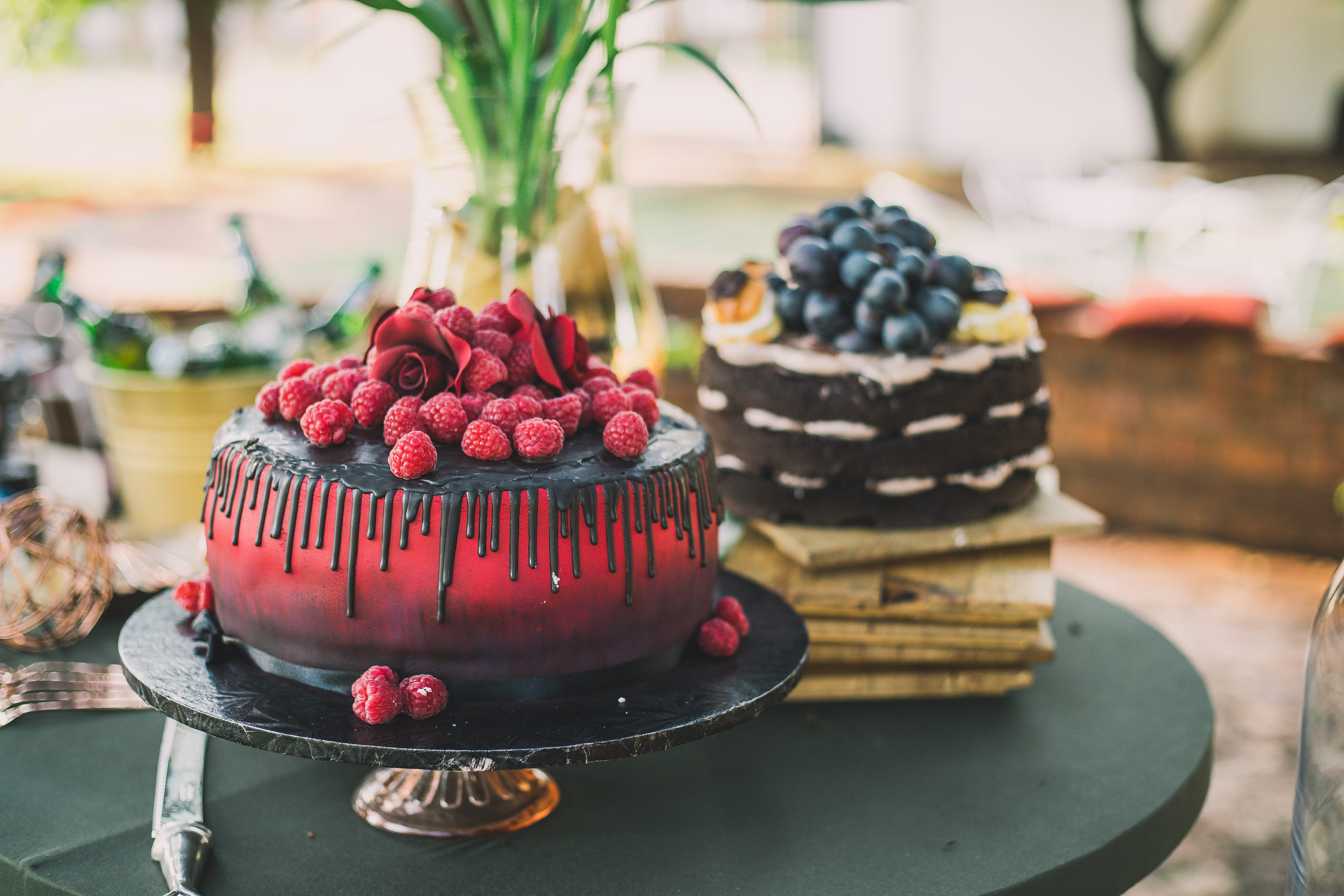 plant, cake, food, dessert, birthday cake, raspberry, fruit