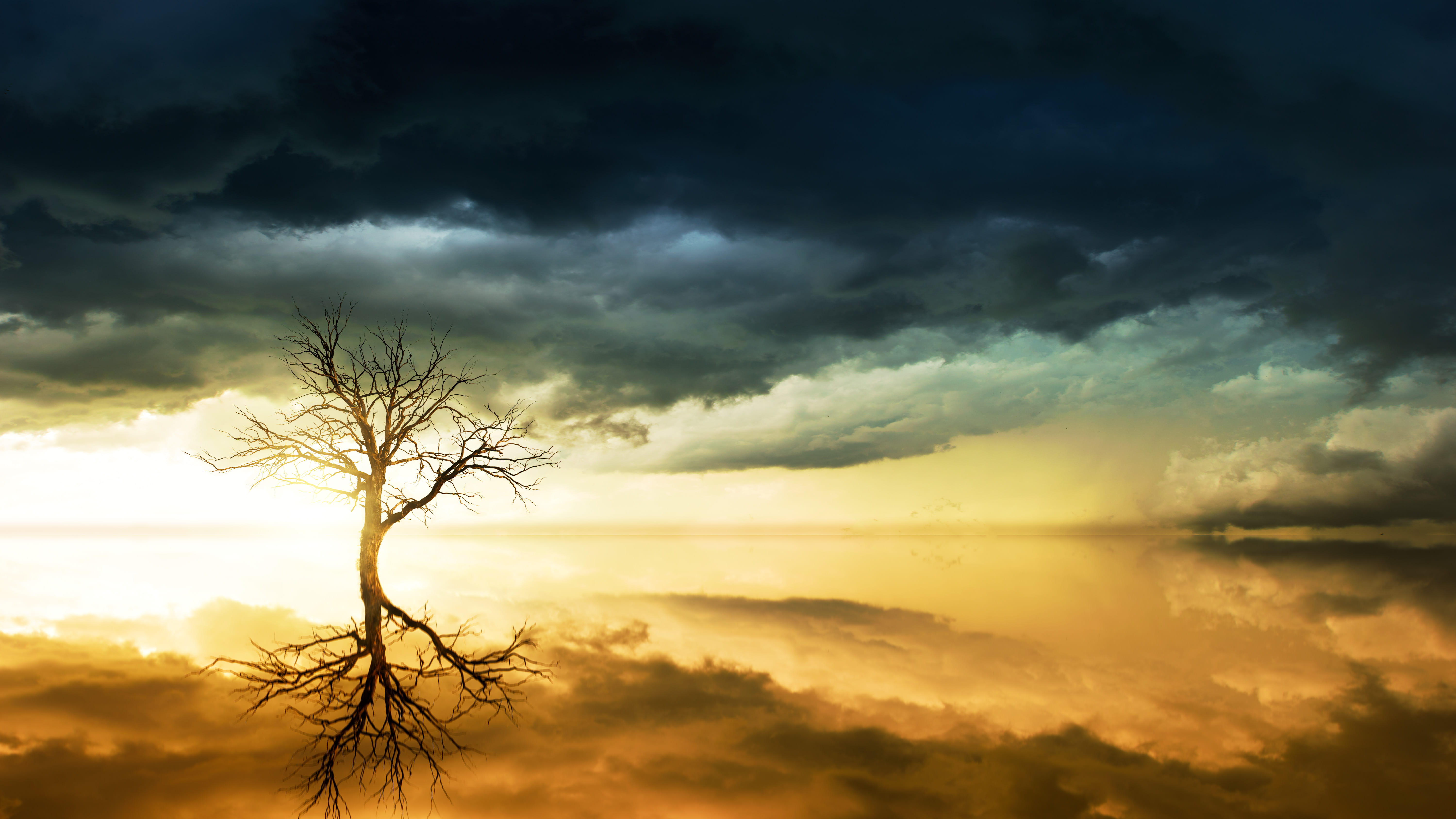 Photo of Bare Tree Under Cloudy Sky, backlit, clouds, dark clouds