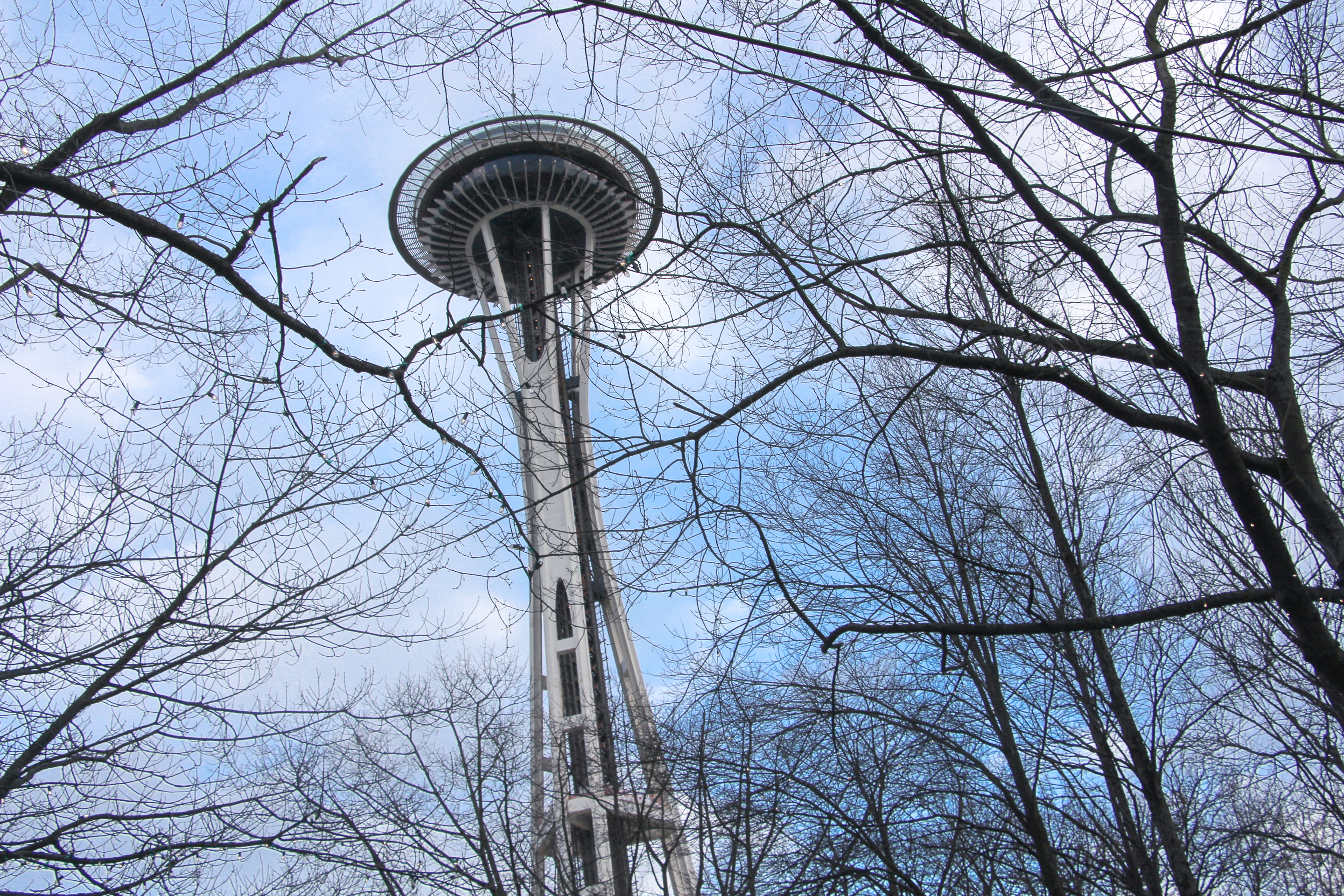 tower, building, architecture, tree, space needle, seattle
