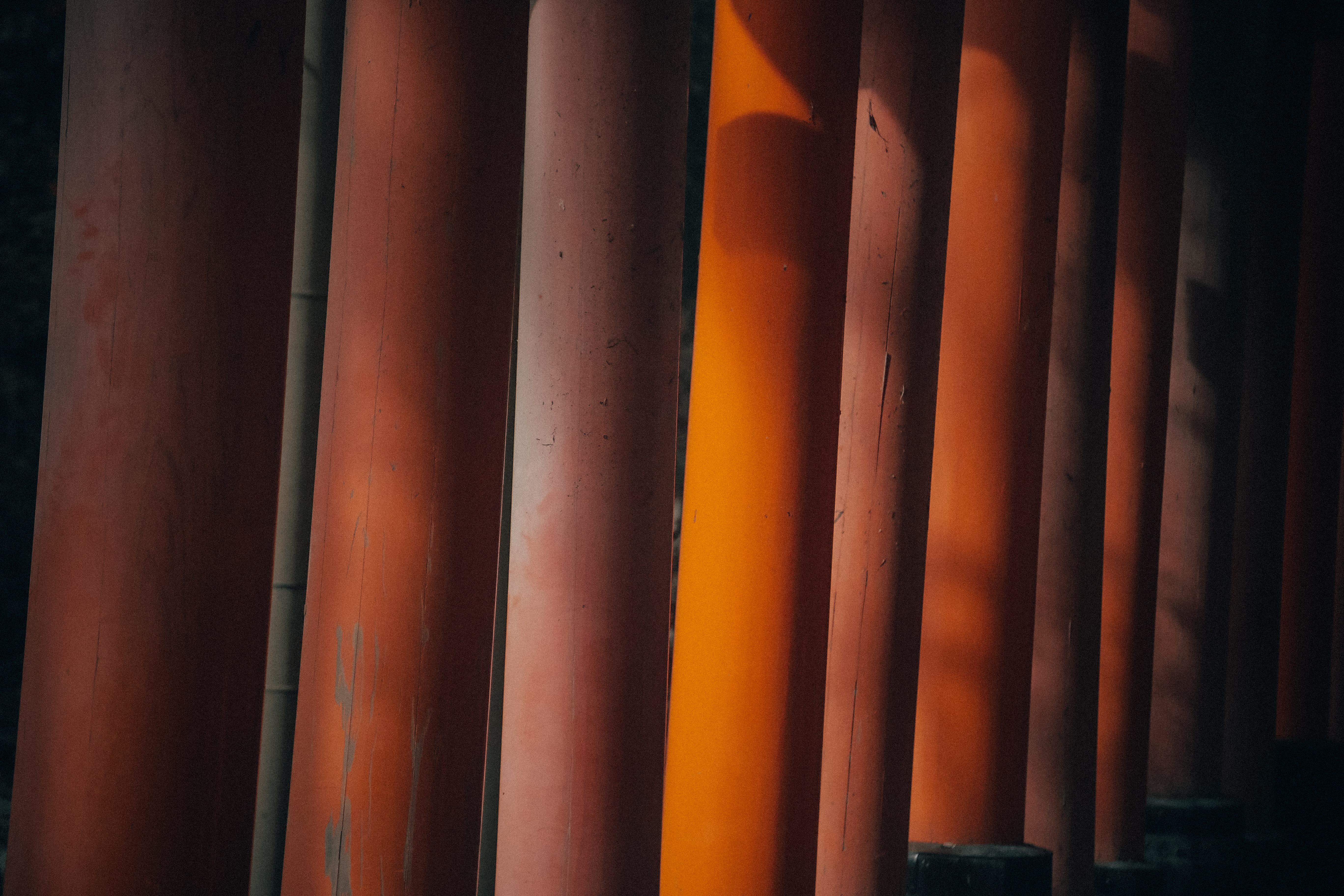 no people, backgrounds, orange color, full frame, pattern, close-up