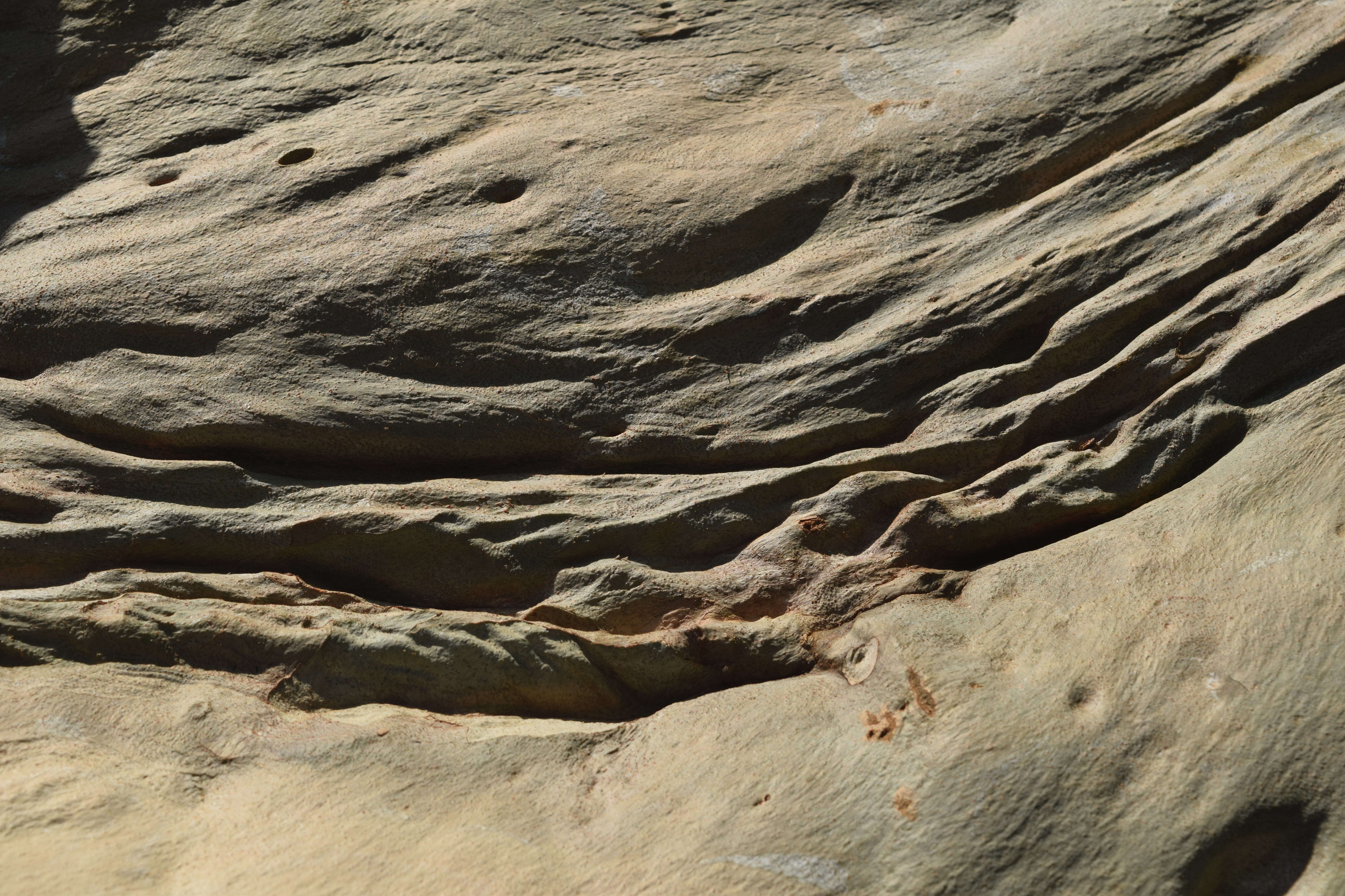 bark, tree, eucalyptus, rock, rock formation, rock - object