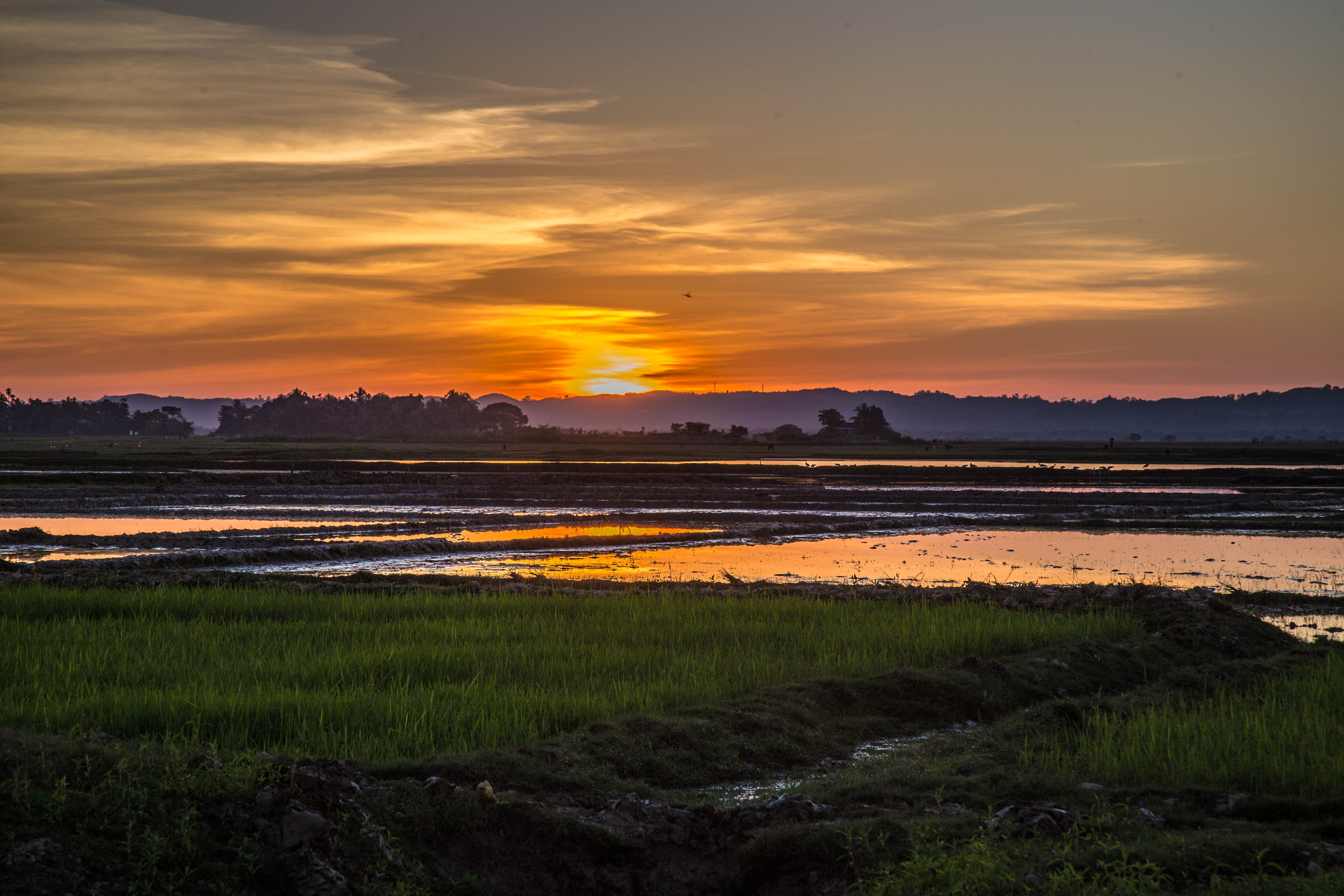 india, assam, sunset, lake, sky, scenics - nature, beauty in nature