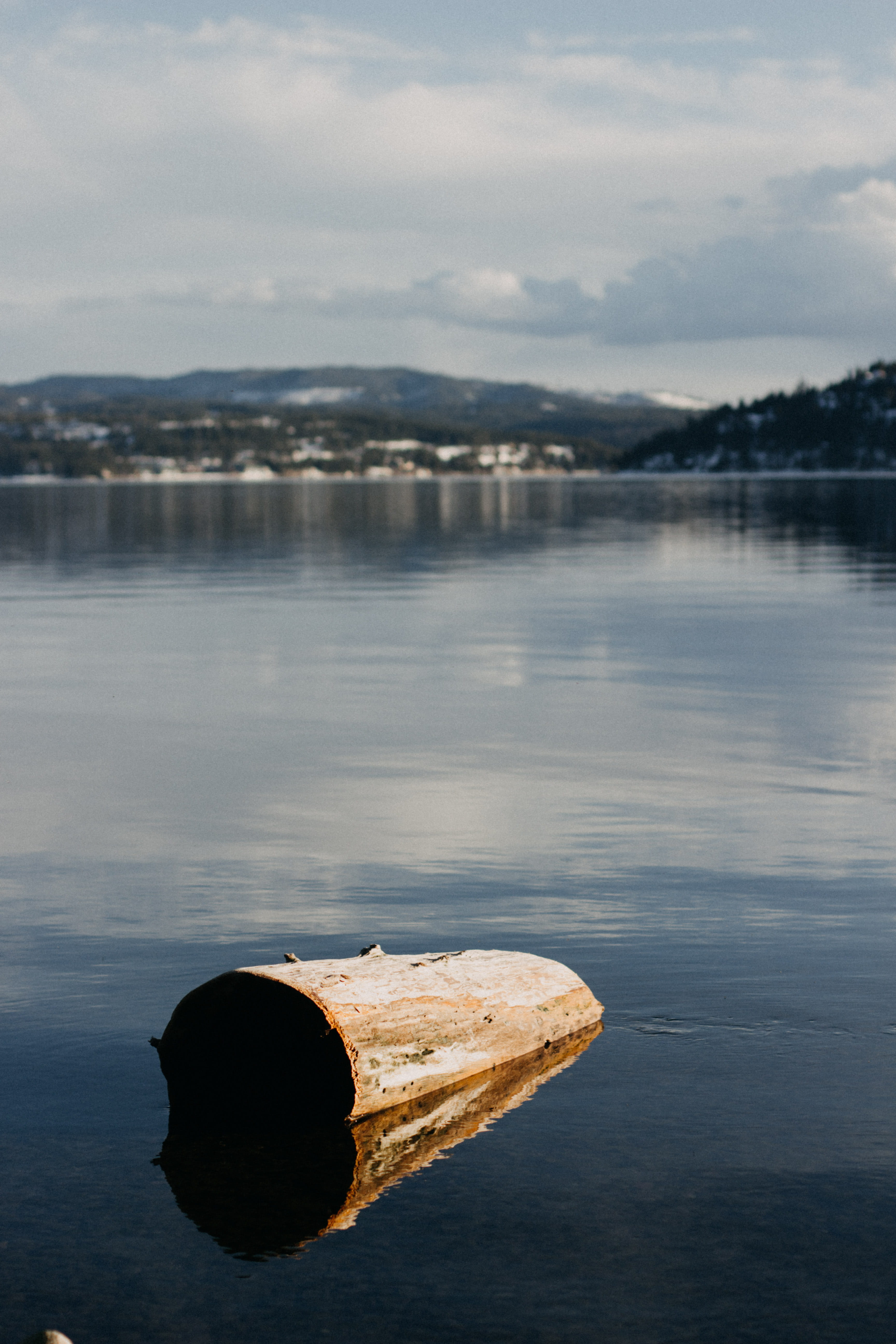lake, trees, spring, log, nature, water, cloud - sky, reflection