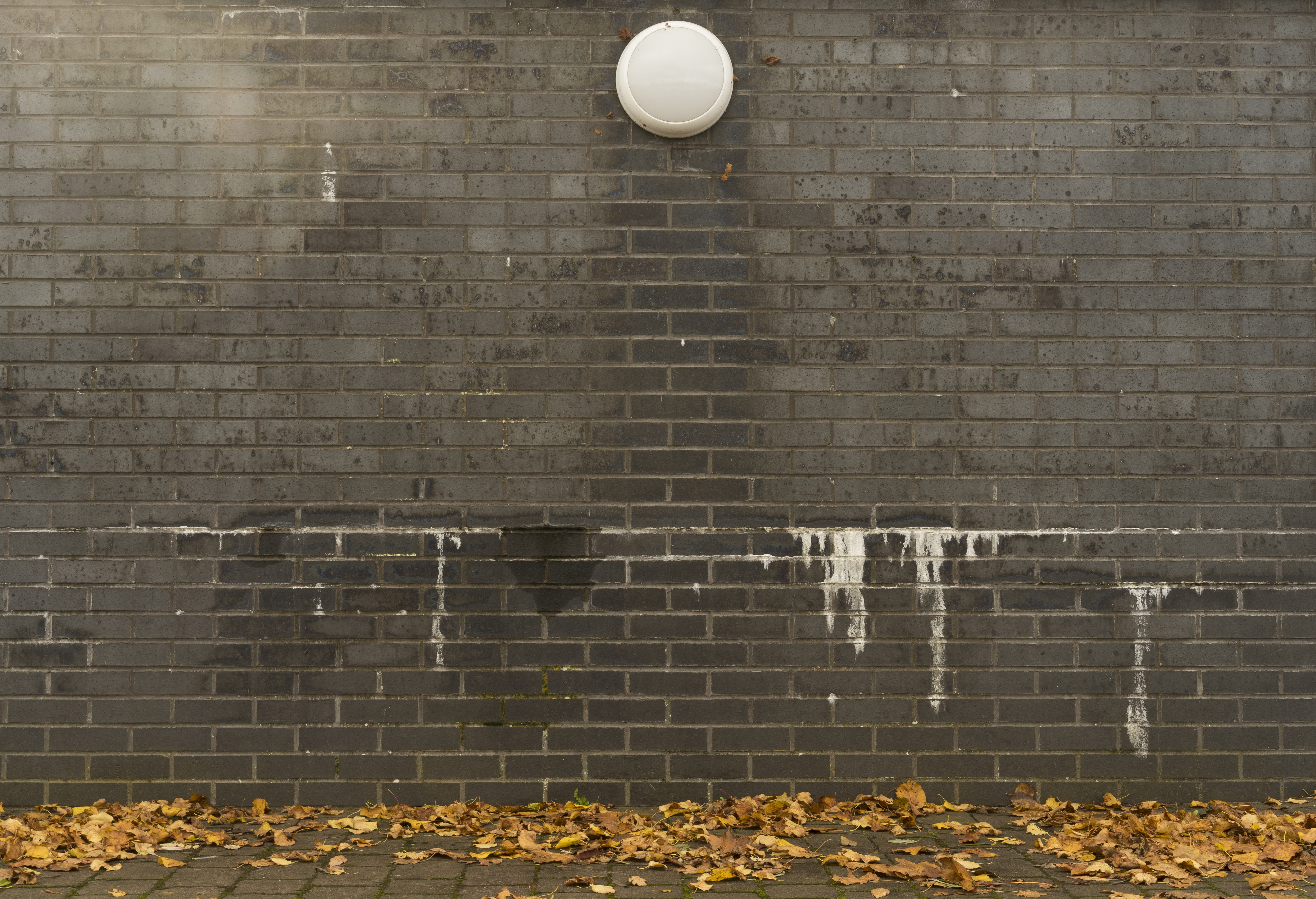 wall, bricks, fall, autumn, leaves, grey bricks, gray bricks