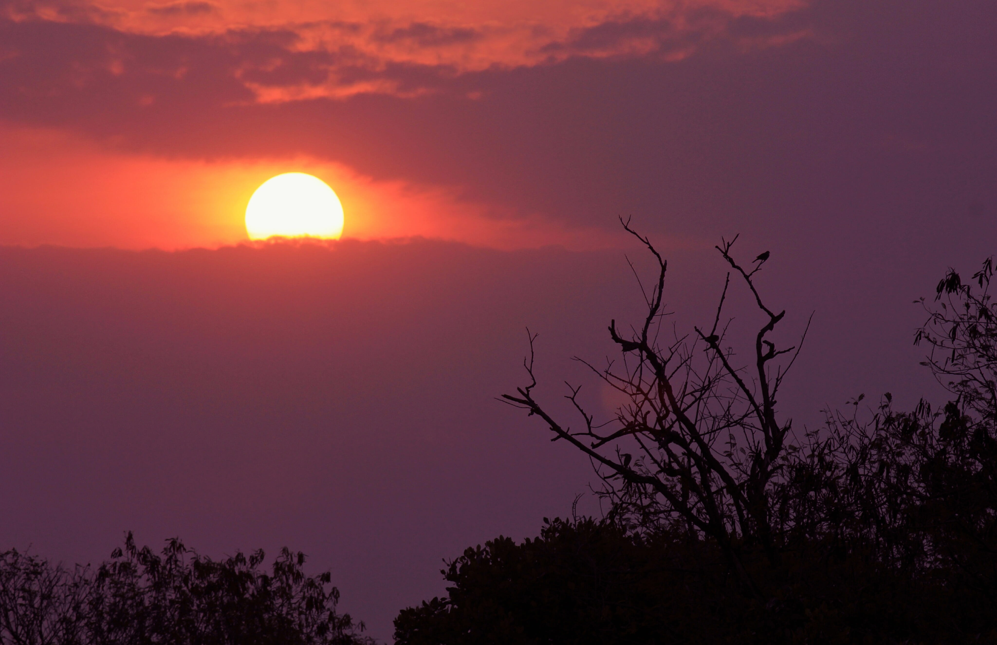 sunset, orange, sky, clouds, nature, light, atmospheric, dramatic