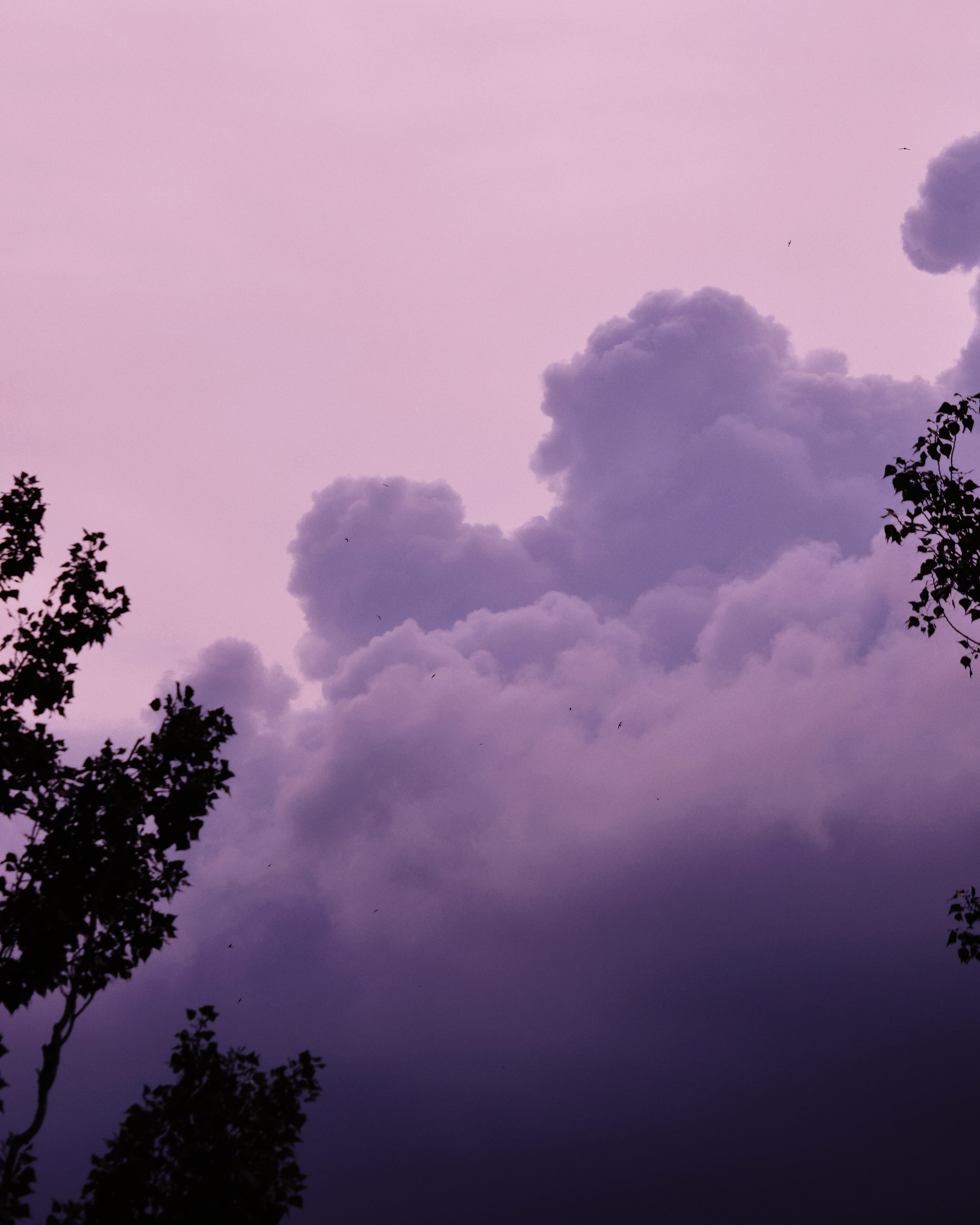 clouds, cloudscape, sky, landscape, fog, trees, summer, nature