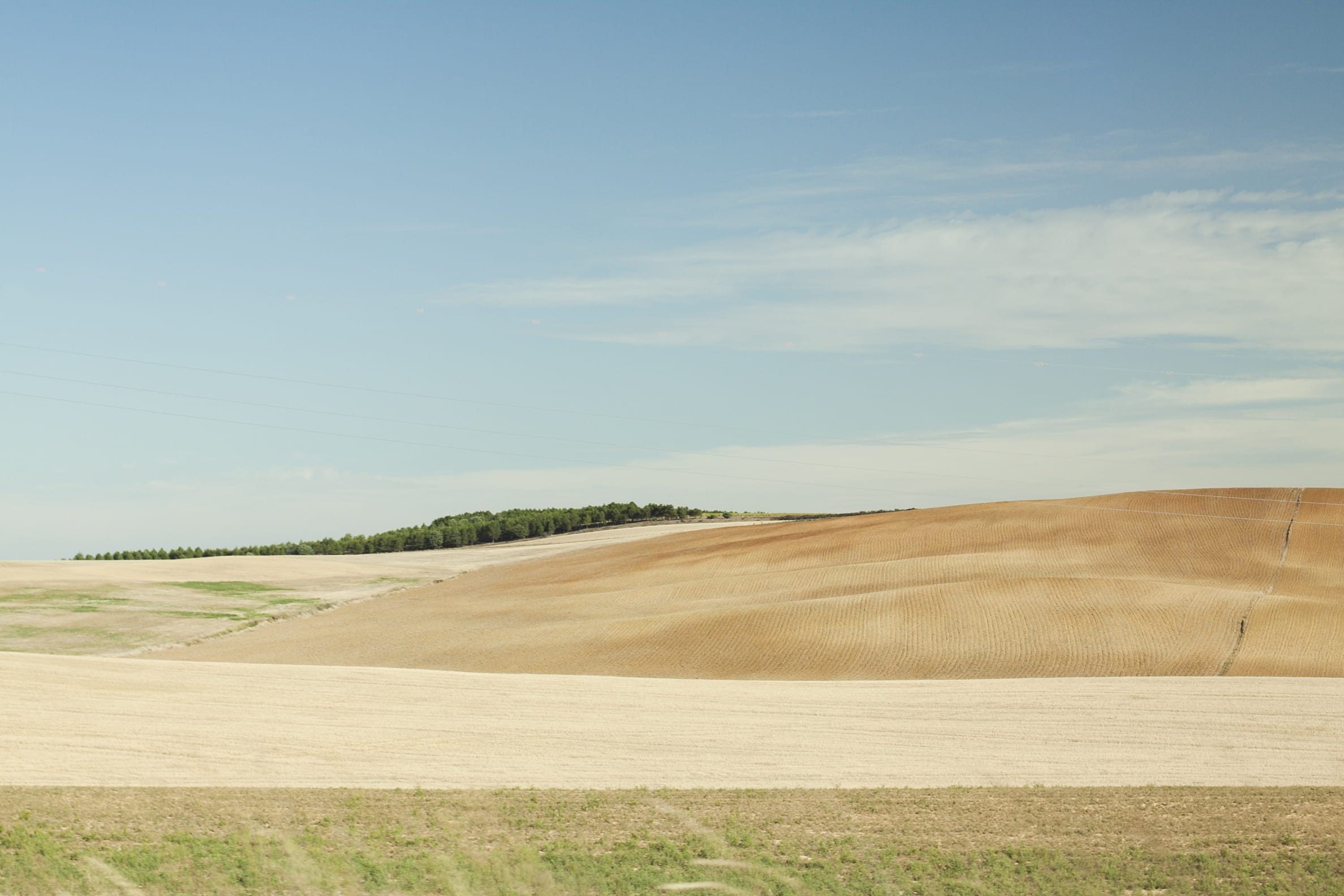 wild, fields, sky, clouds, nature, landscape, environment, tranquility
