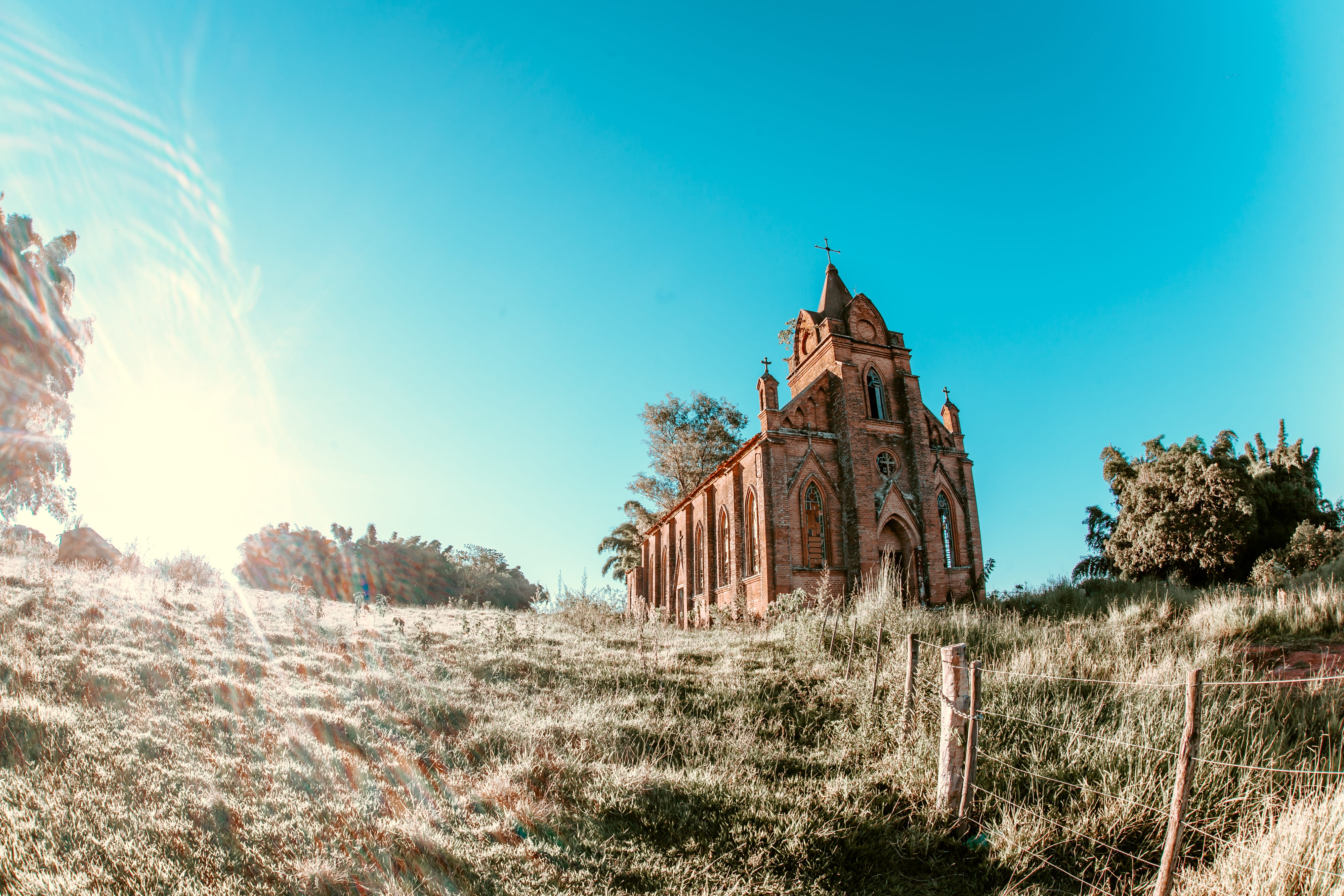spire, architecture, tower, building, steeple, plant, tree