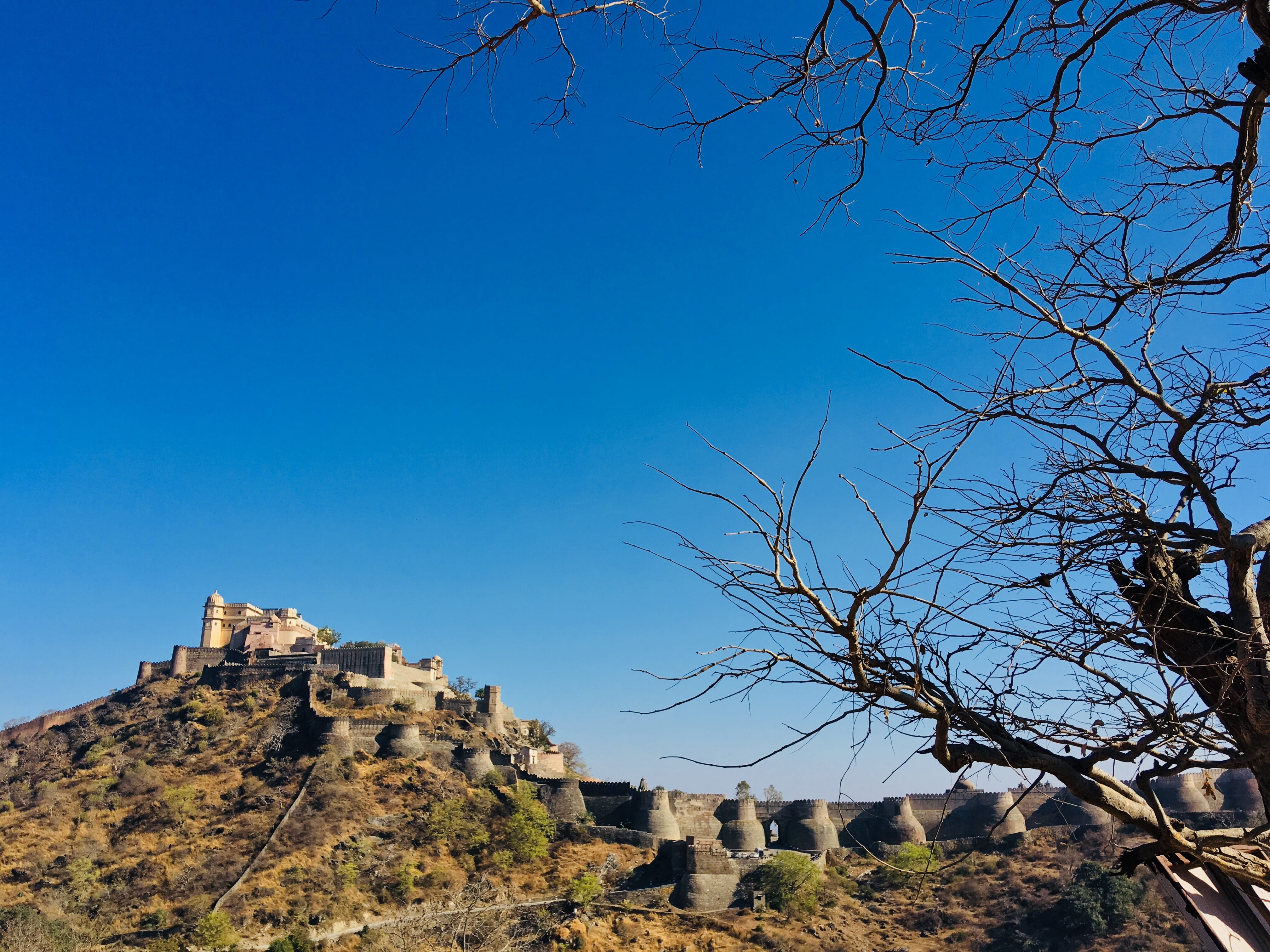 Bare Tree Photo, ancient, architecture, branches, castle, clear sky