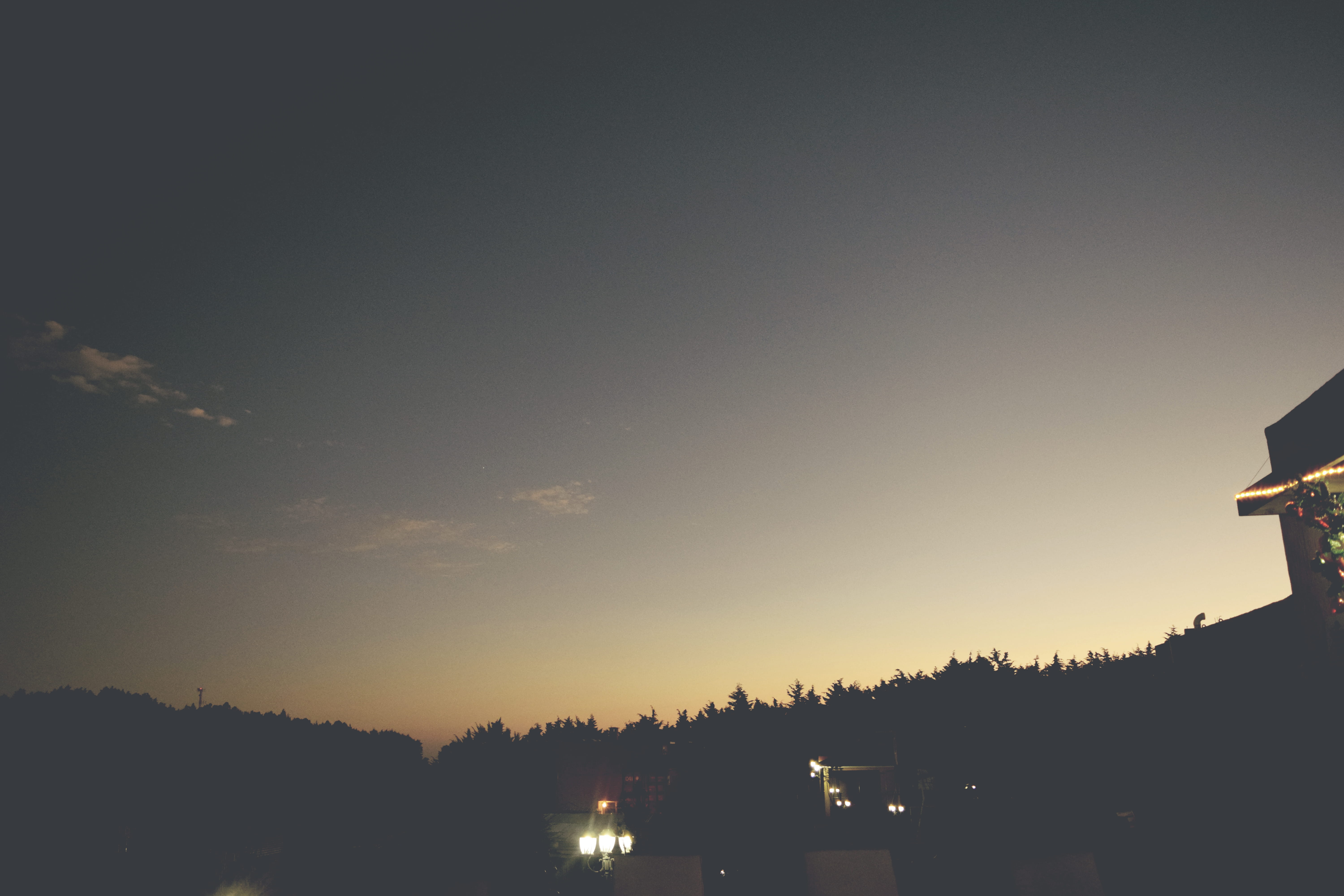 tree, sunset, sky, silhouette, architecture, built structure