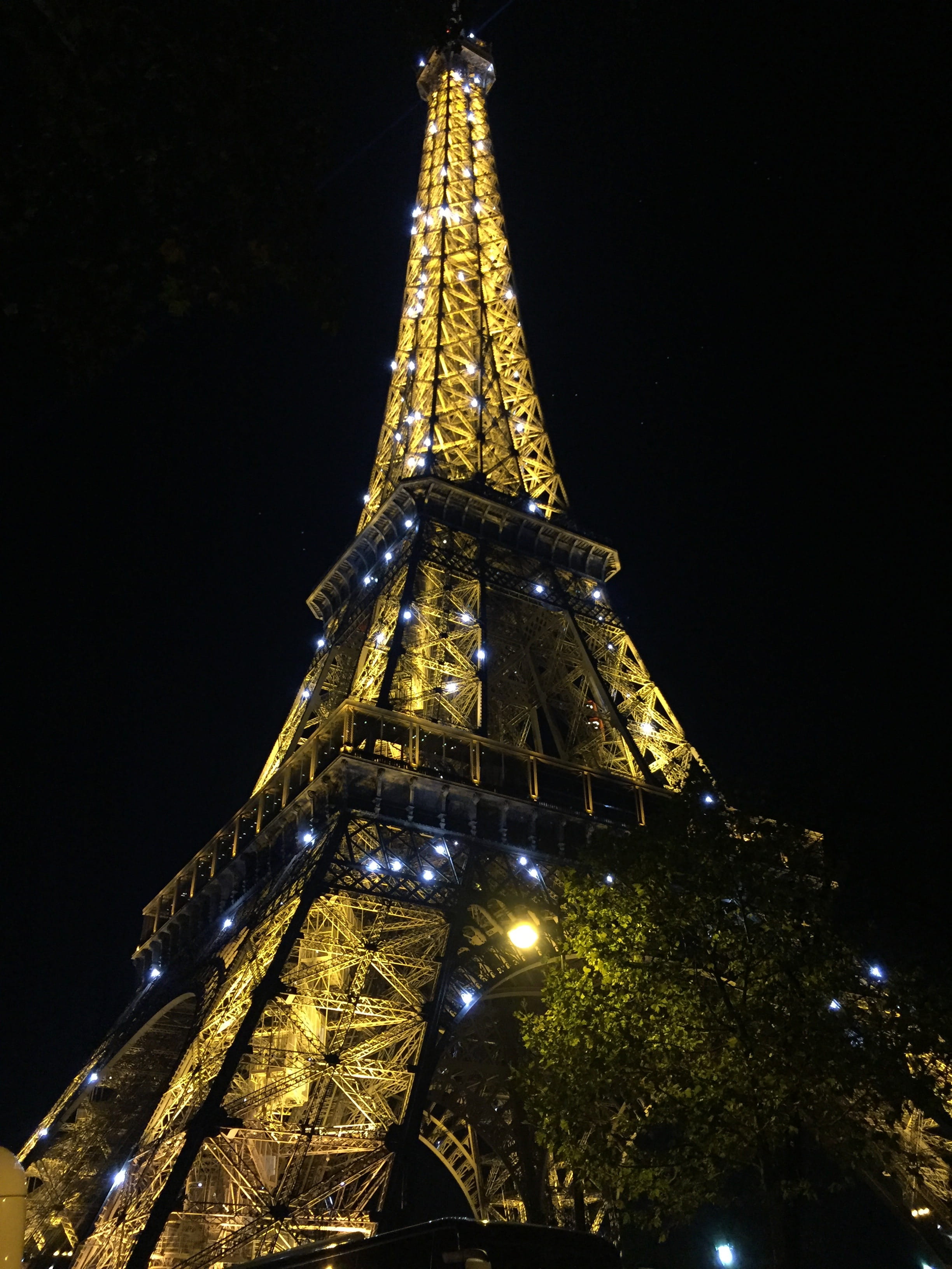 paris, eiffel tower, night, illuminated, architecture, tree
