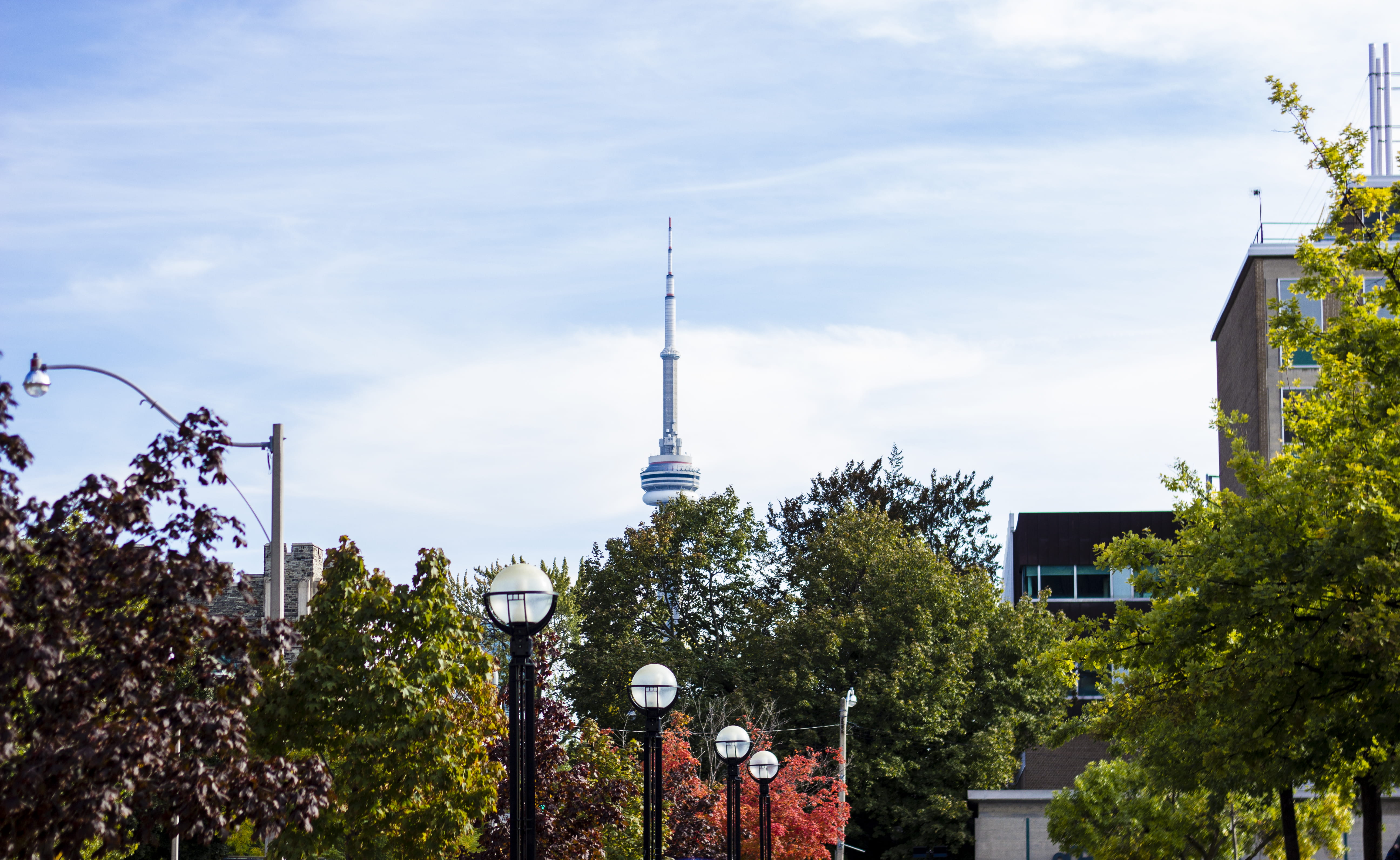 toronto, canada, sidney smith hall, cn tower, trees, views