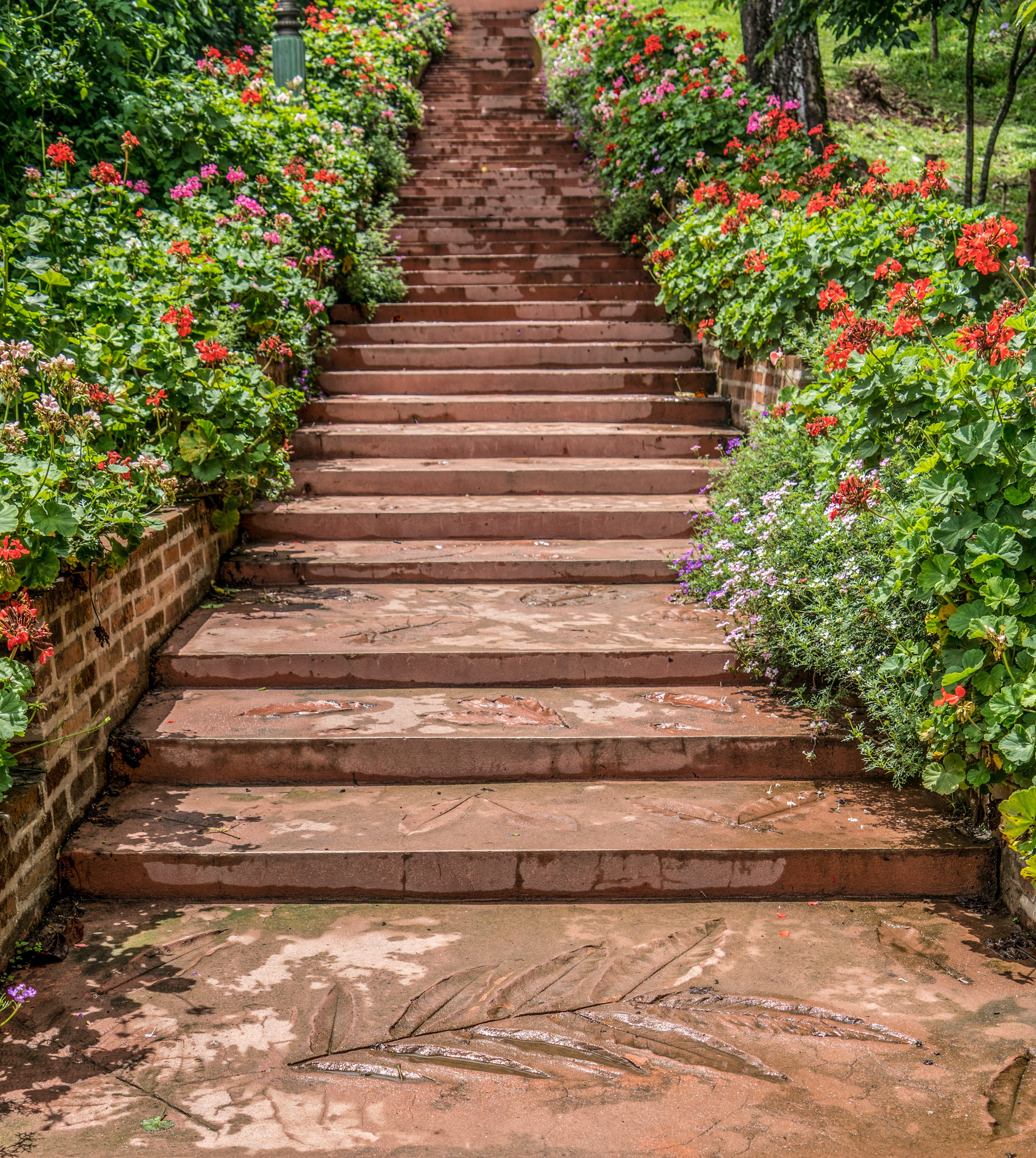 steps, garden, chiang mai, botanical gardens, pathway, architecture