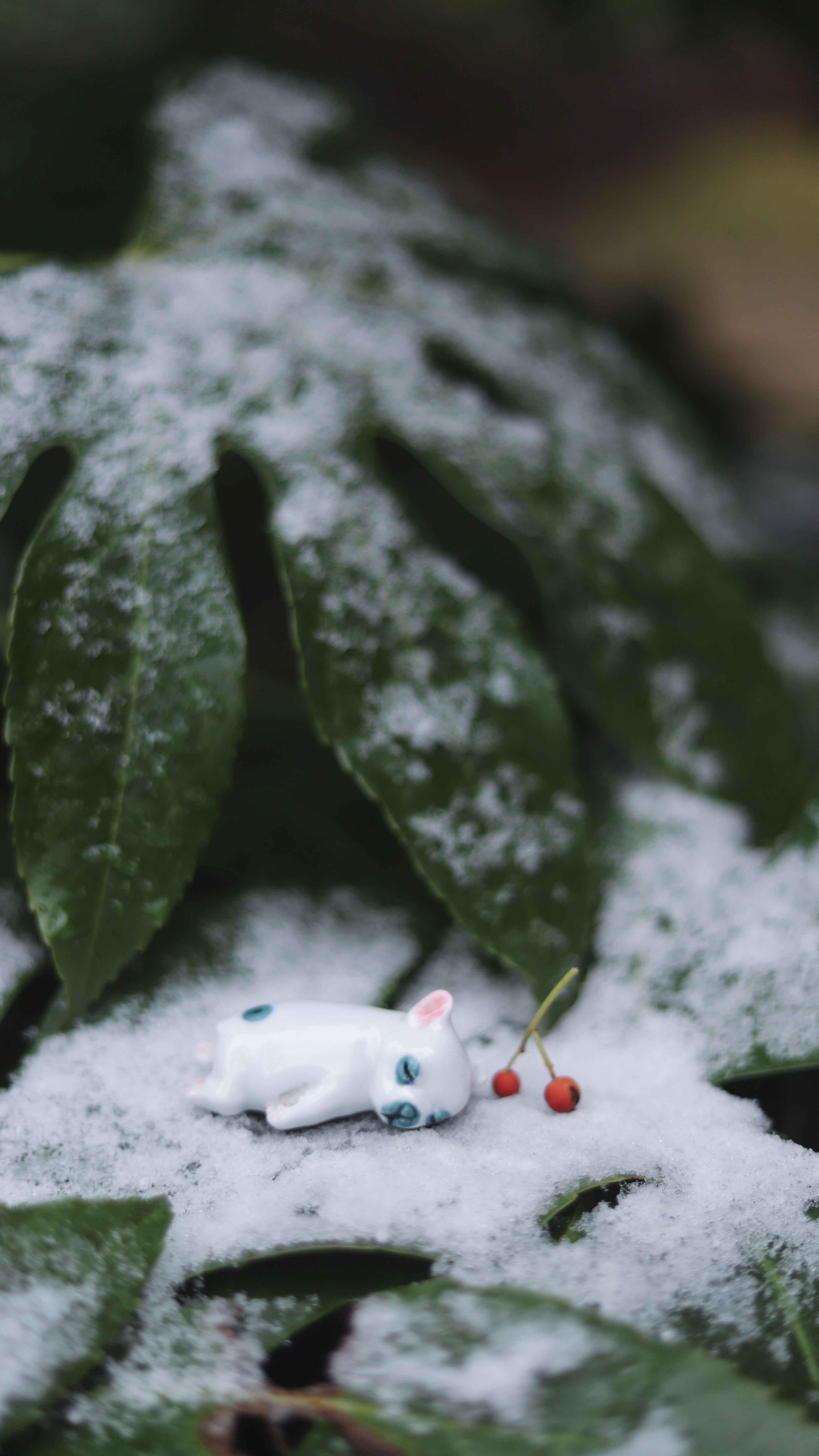 totoro, winter, snow, no people, close-up, selective focus