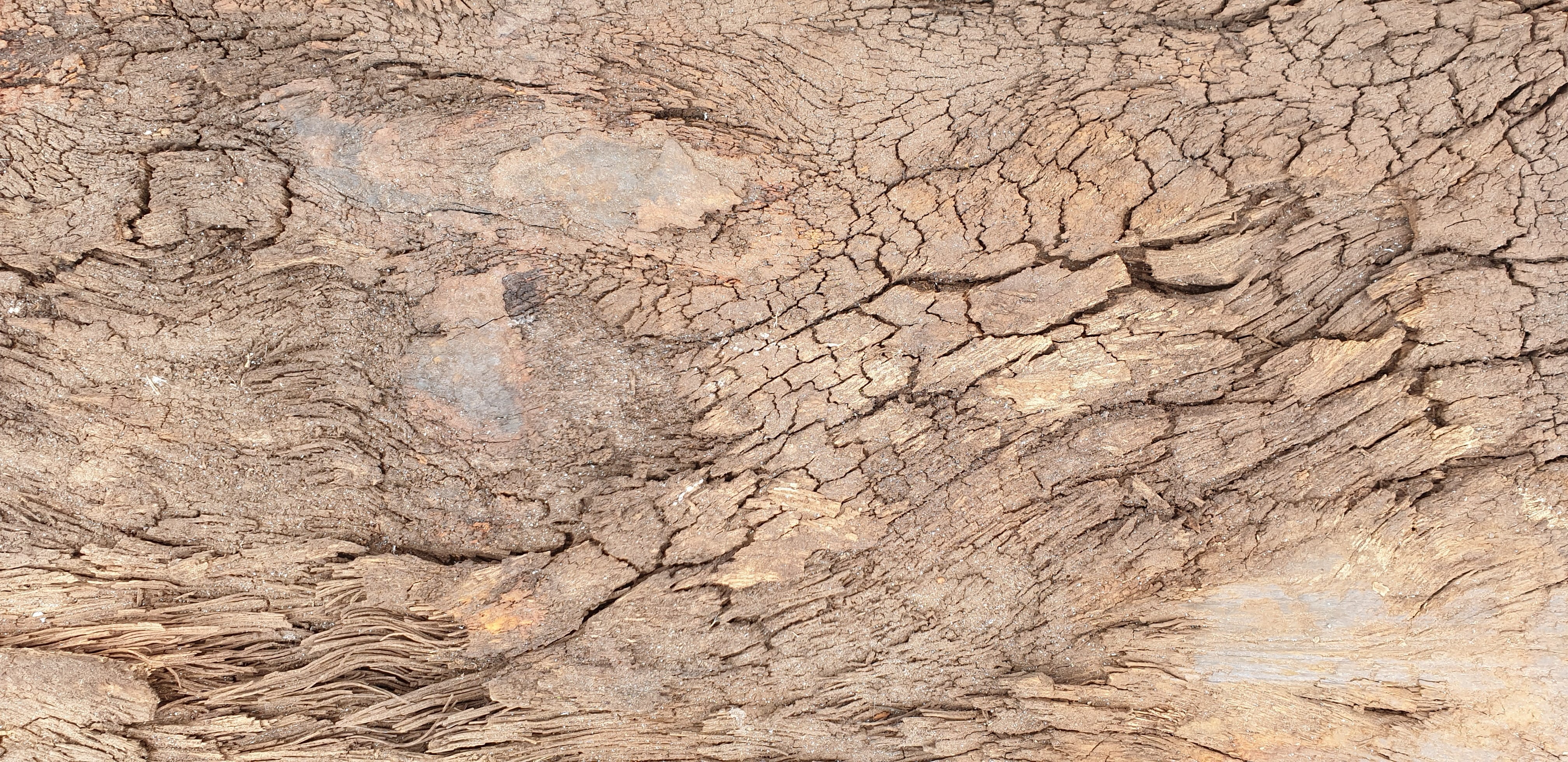 pattern, backgrounds, no people, textured, cracked, full frame