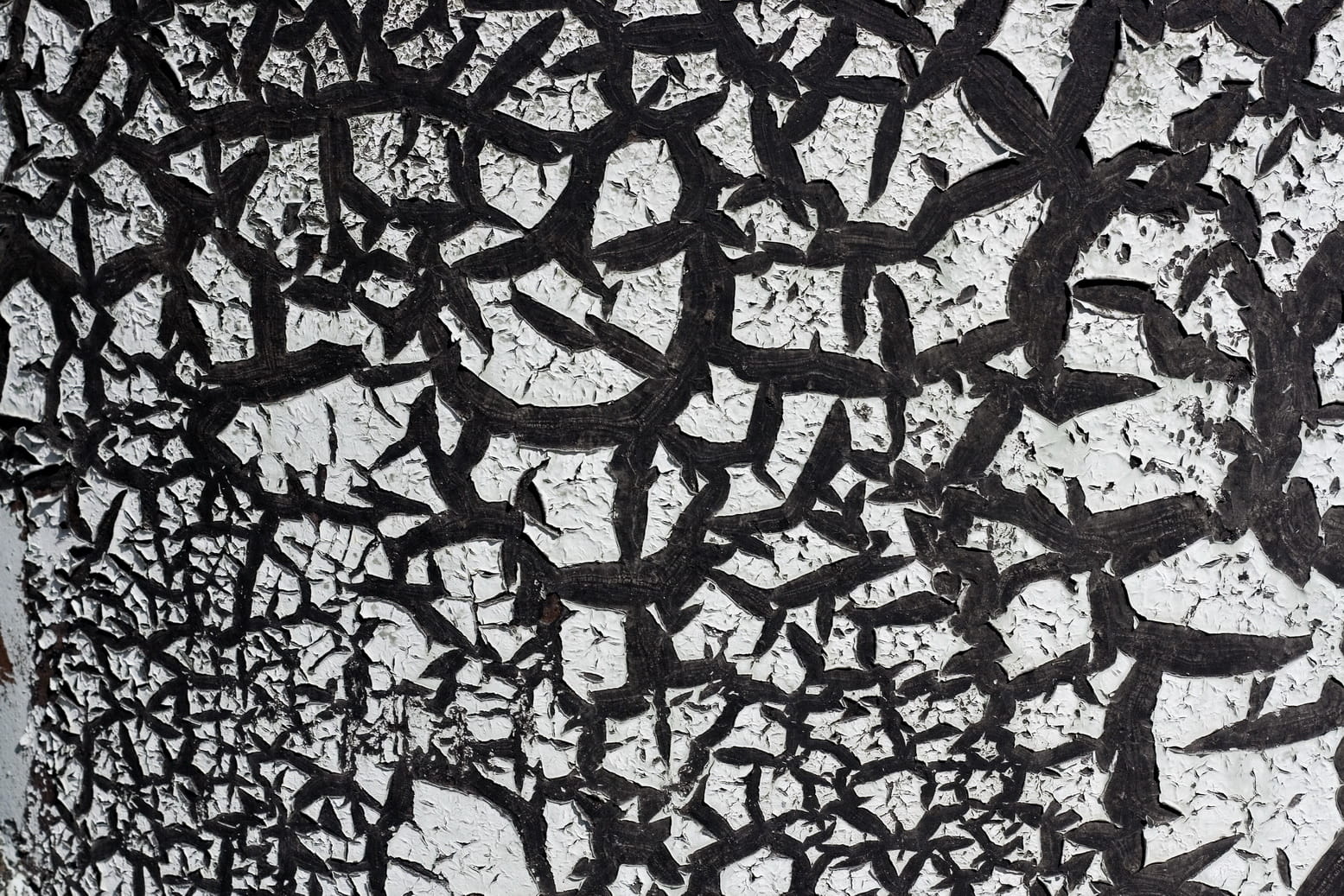 architect, backdrop, background, cracked, dirty, old, surface