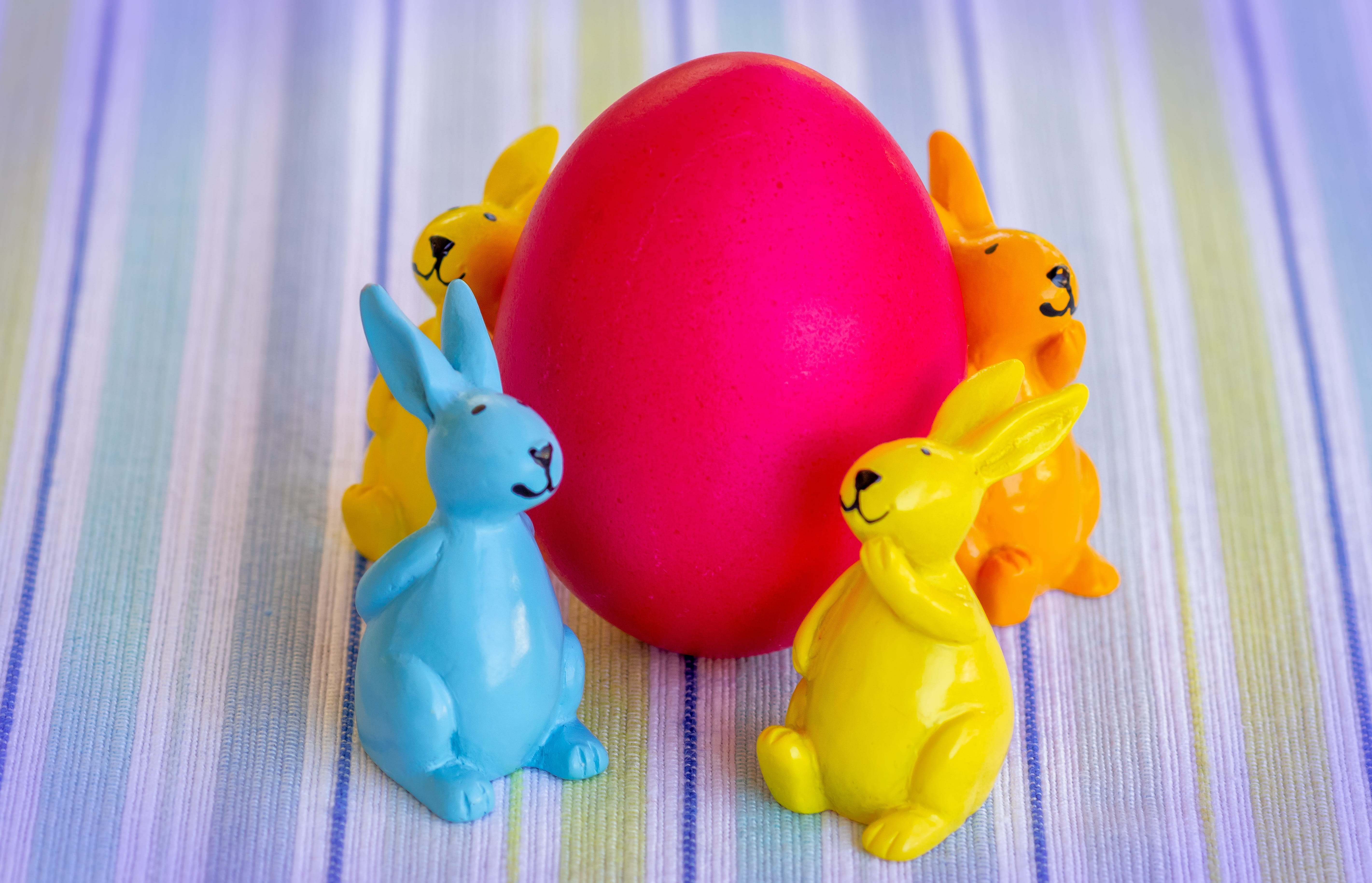 easter, easter bunny, easter egg, hare, spring, cute, ears