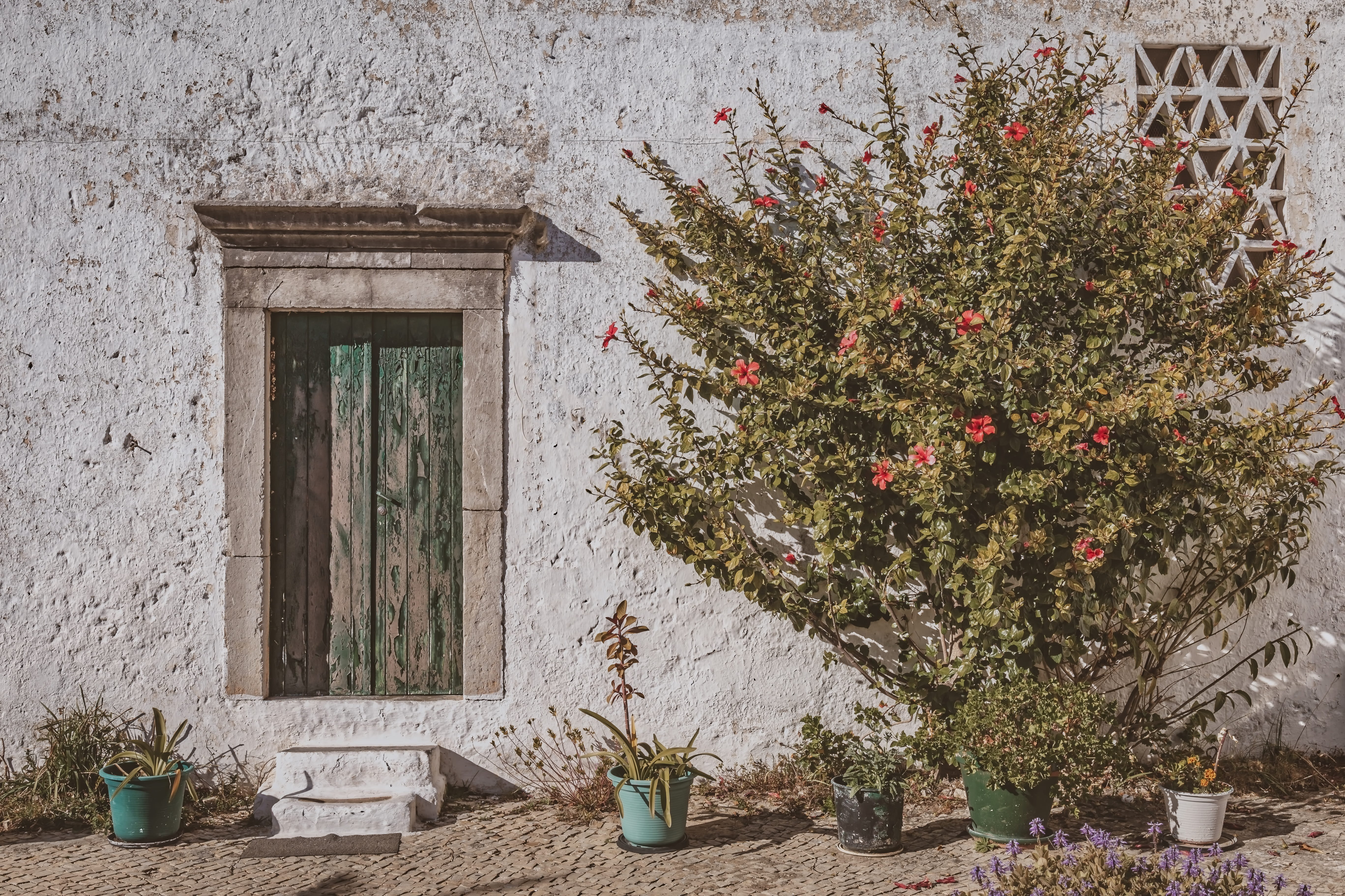 house, old, facade, front, architecture, building, rustic, historically