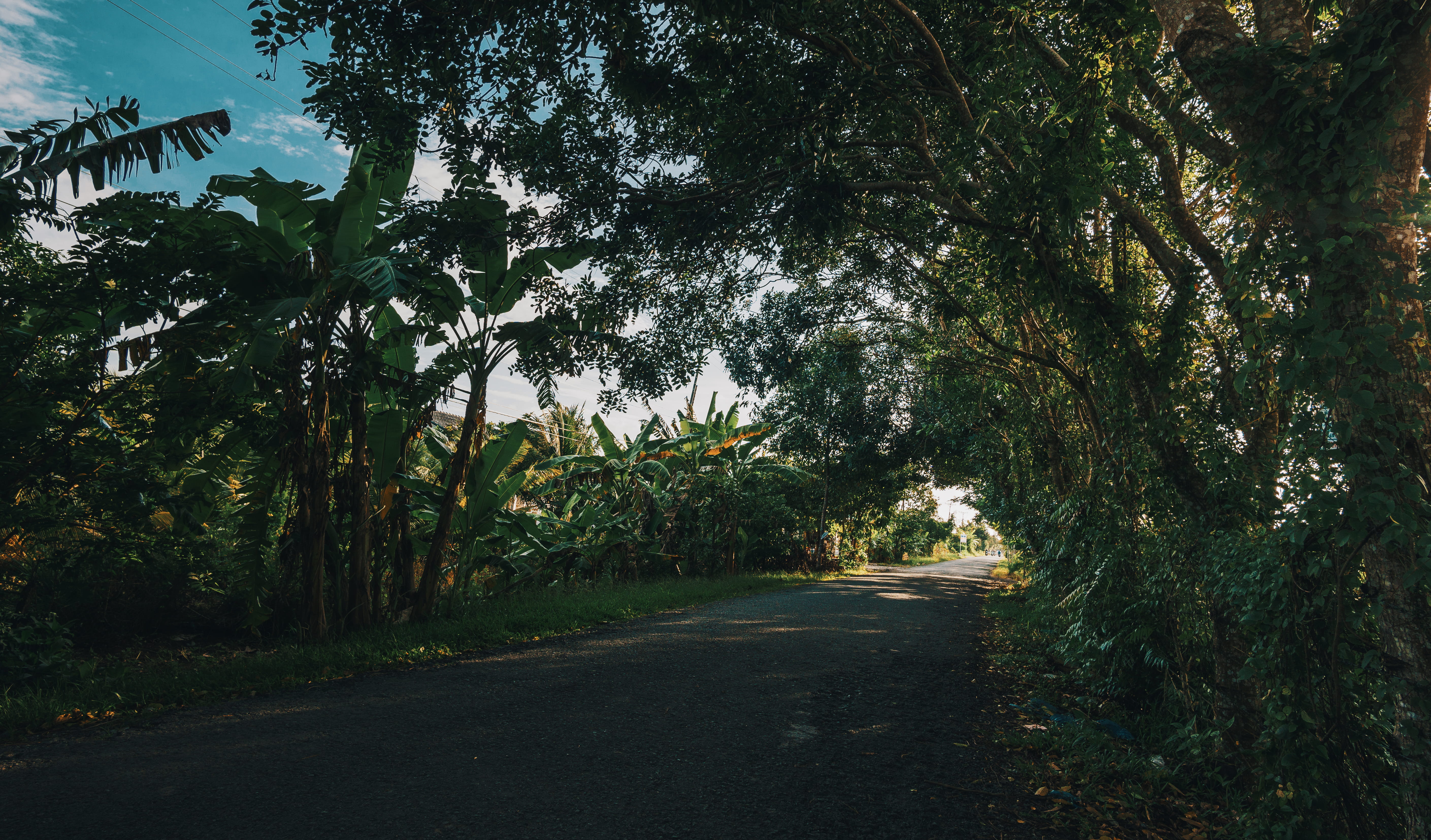 Empty Road Pavement Photography, daylight, environment, grass