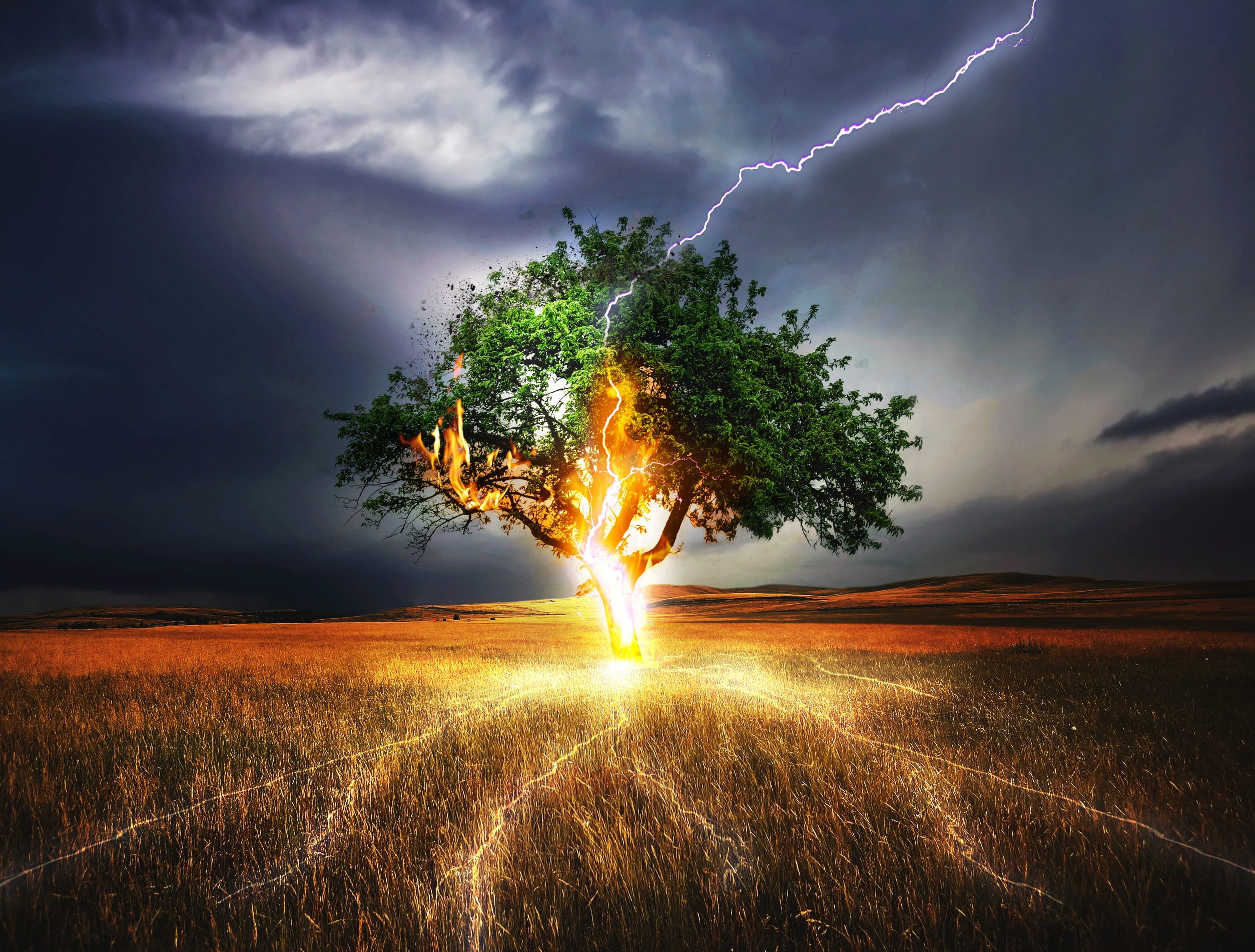 tree, flash, light, lightning, nature, hot, landscape, cloud - sky