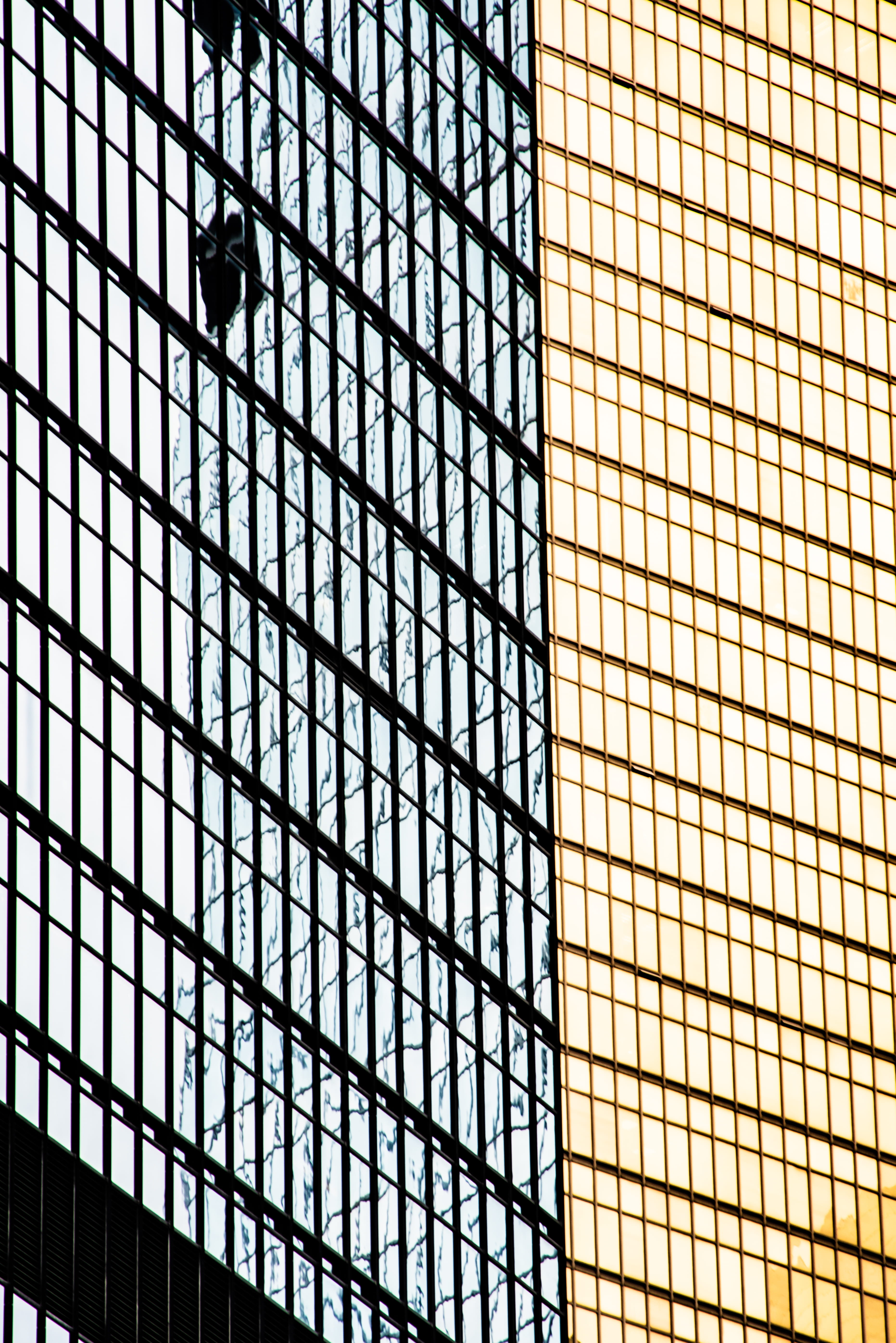 architecture, built structure, modern, building exterior, full frame